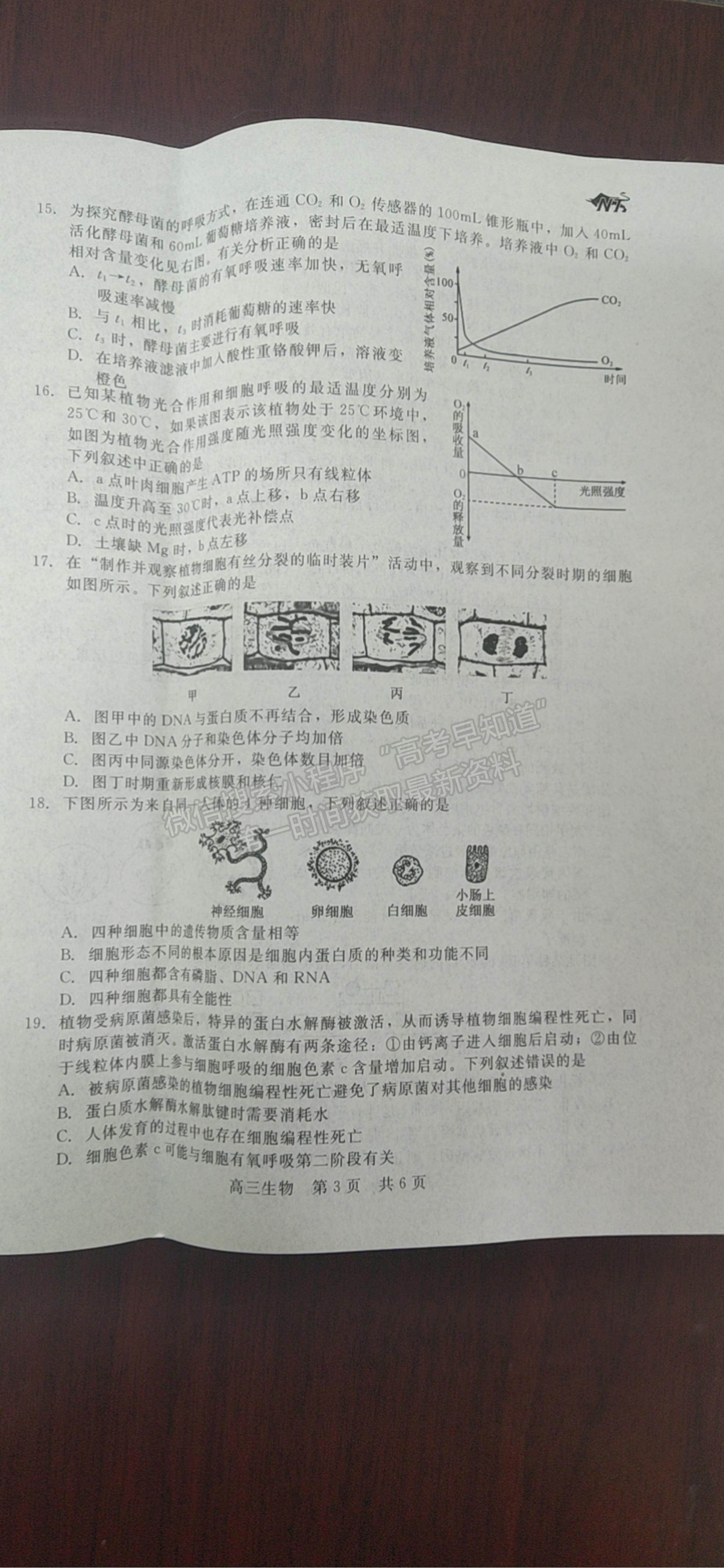 2022陜西省十校聯(lián)考年高三上學(xué)期階段測試生物試題及參考答案