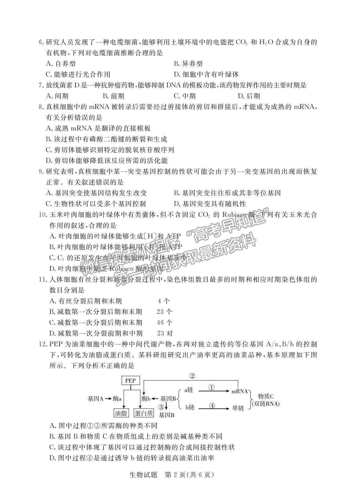 2022廣東省肇慶市高三上學期第一次統(tǒng)一檢測生物試題及參考答案