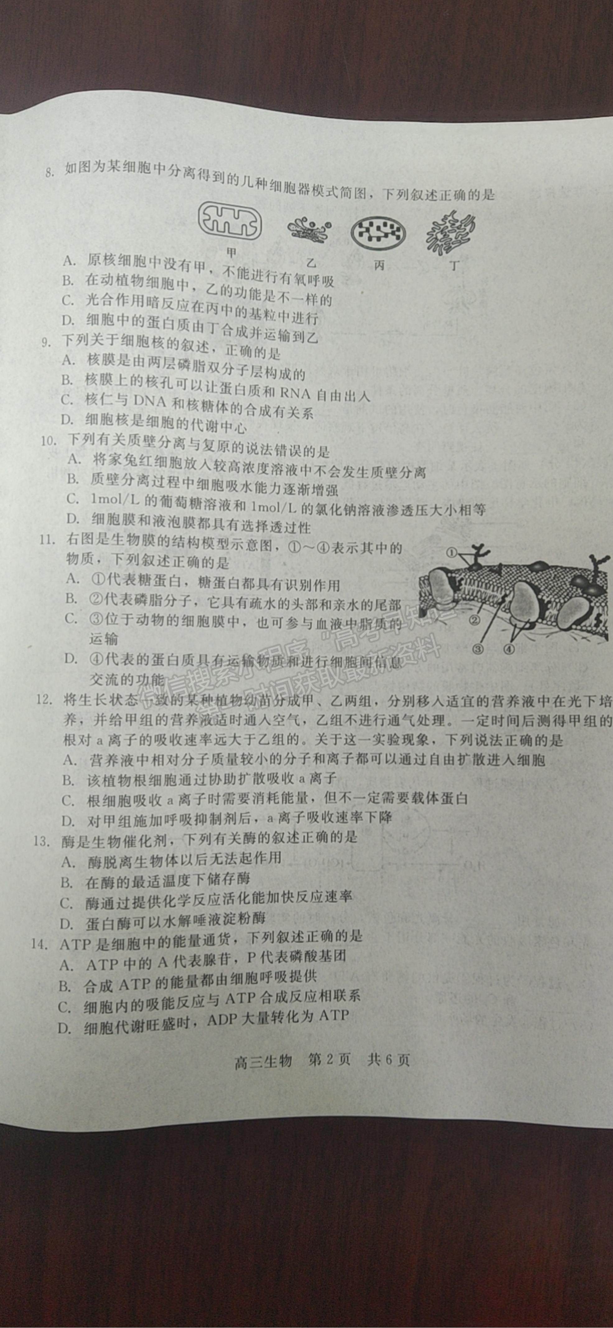 2022陜西省十校聯(lián)考年高三上學期階段測試生物試題及參考答案