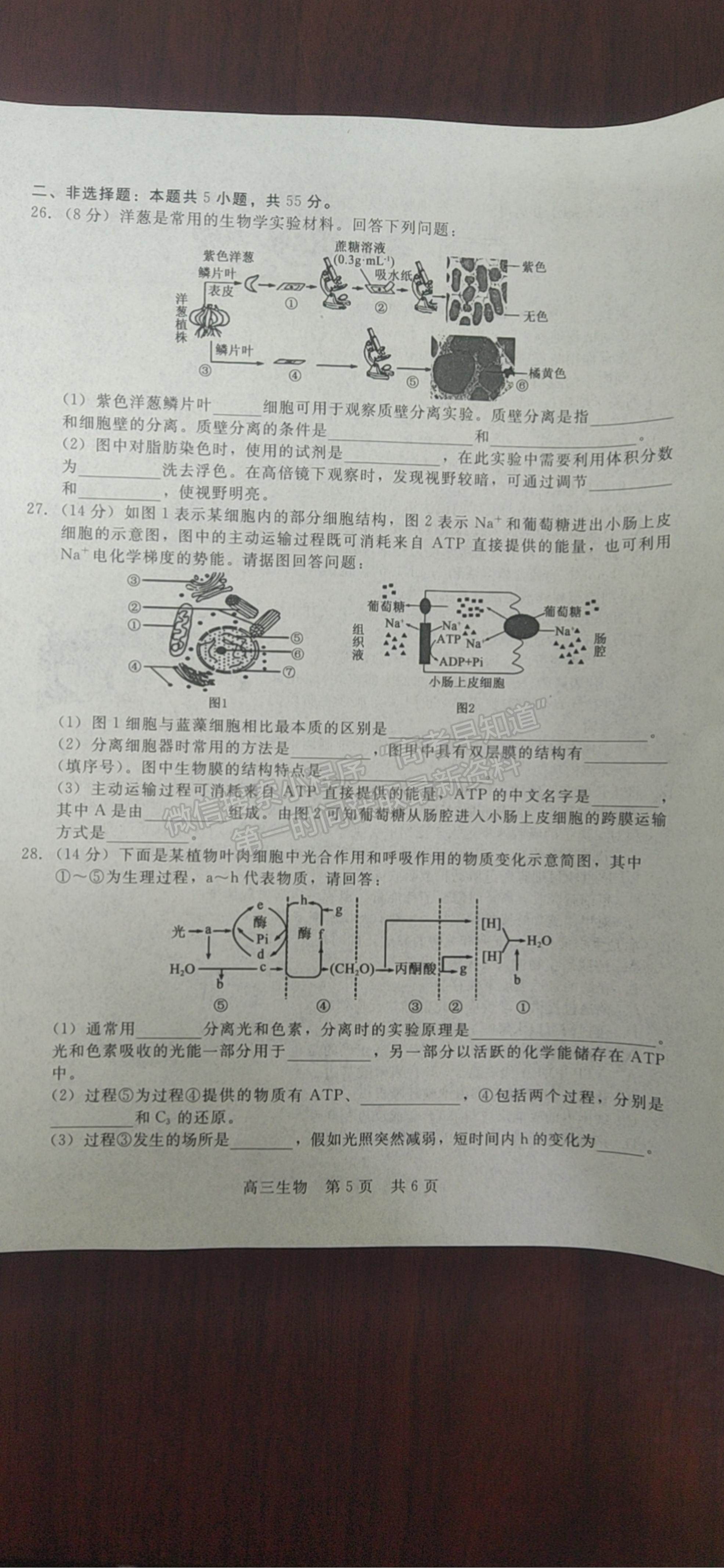 2022陜西省十校聯(lián)考年高三上學(xué)期階段測(cè)試生物試題及參考答案