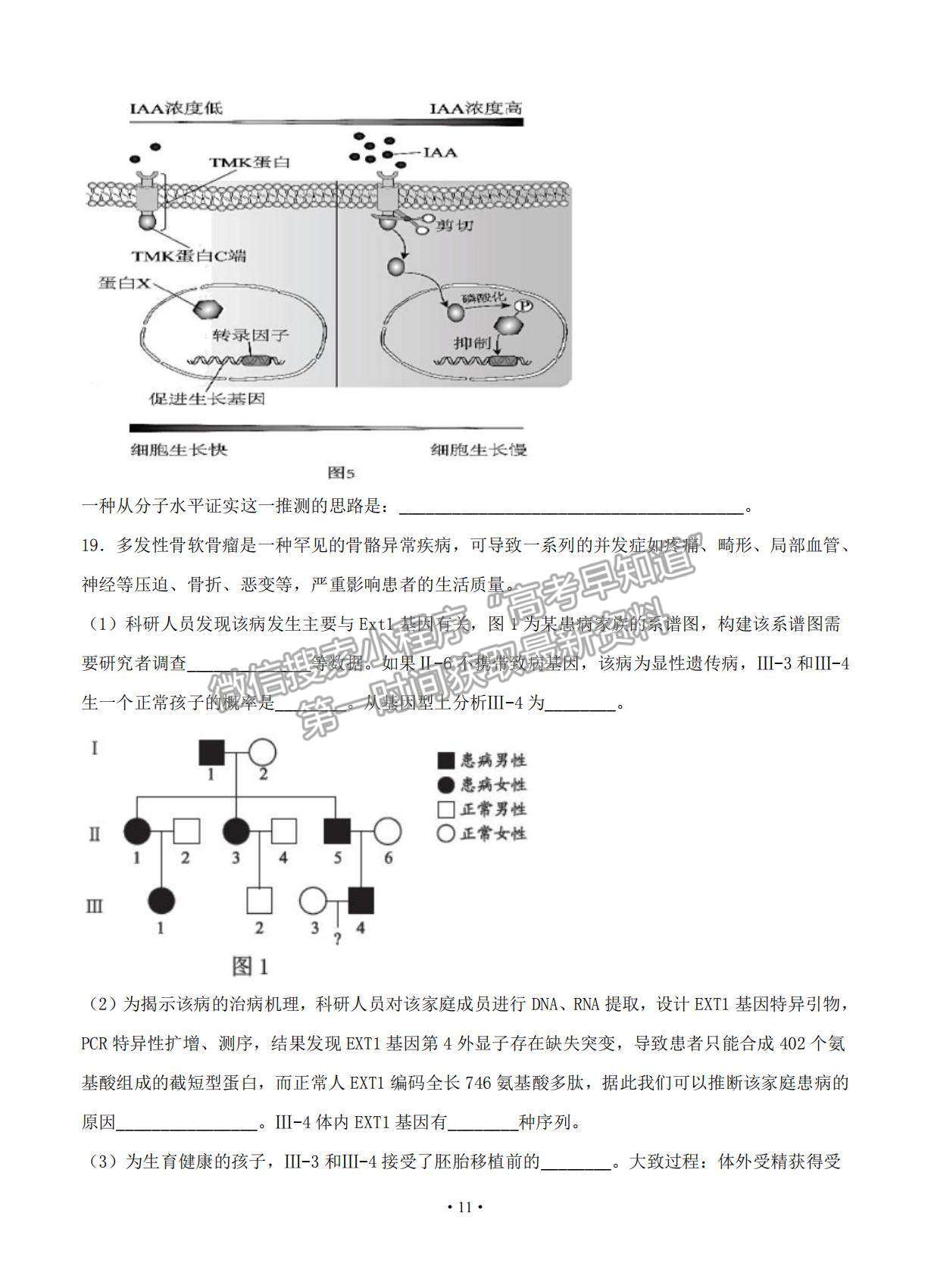 2021北京市高考?jí)狠S卷生物試題及參考答案