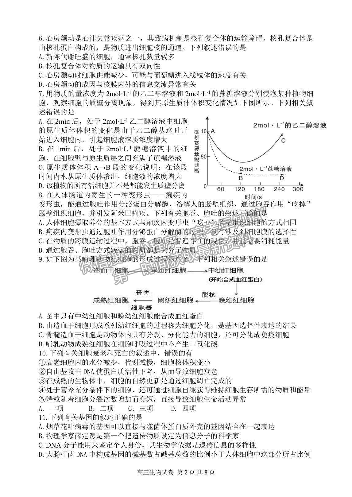 2022遼寧省丹東市高三上學(xué)期總復(fù)習(xí)階段測試生物試題及參考答案