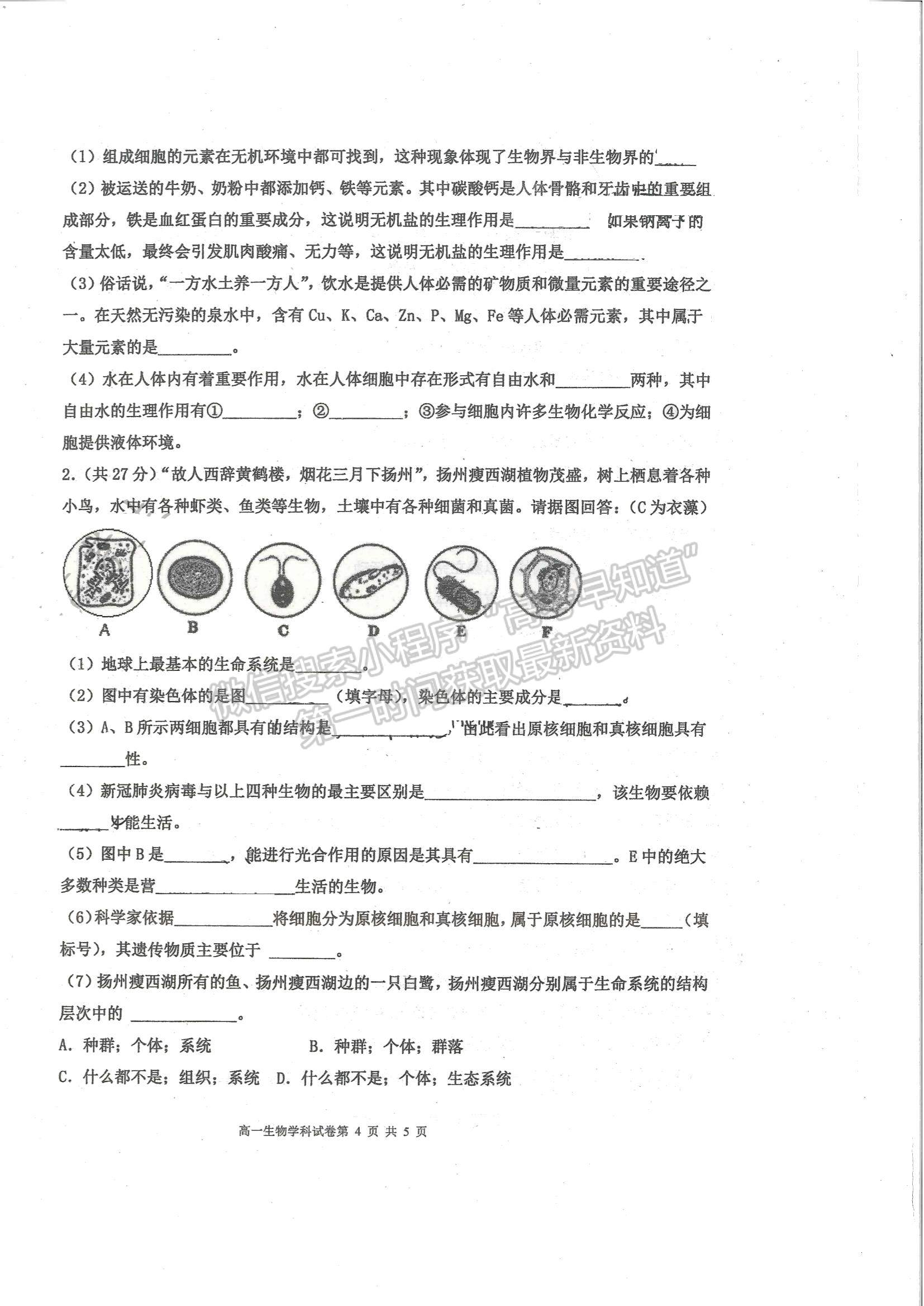 2022天津市武清區(qū)楊村一中高一上學(xué)期第一次階段性檢測生物試題及參考答案