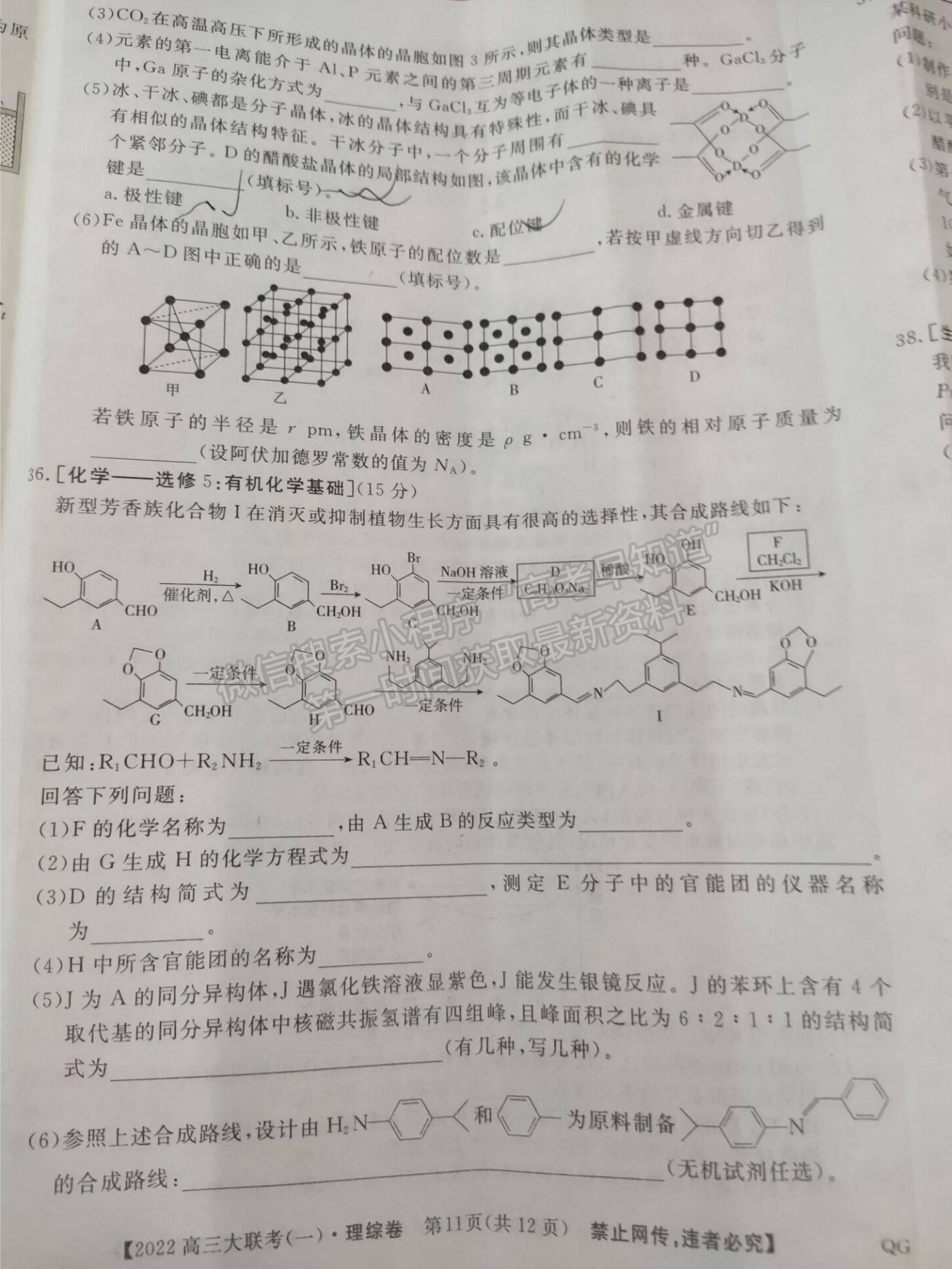 2022百校大聯(lián)考高三大聯(lián)考調(diào)研（一）理綜試題及參考答案