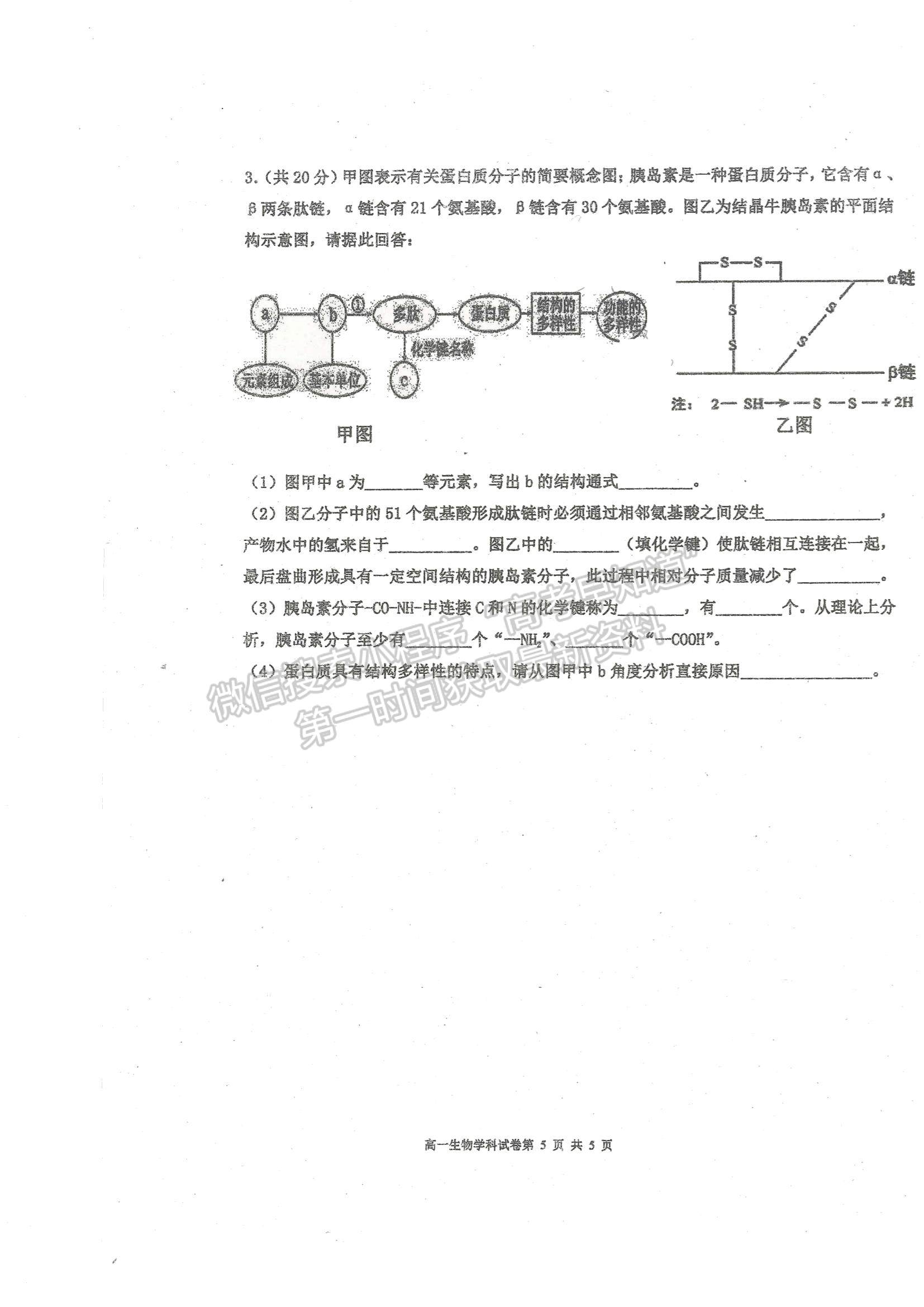 2022天津市武清區(qū)楊村一中高一上學(xué)期第一次階段性檢測(cè)生物試題及參考答案