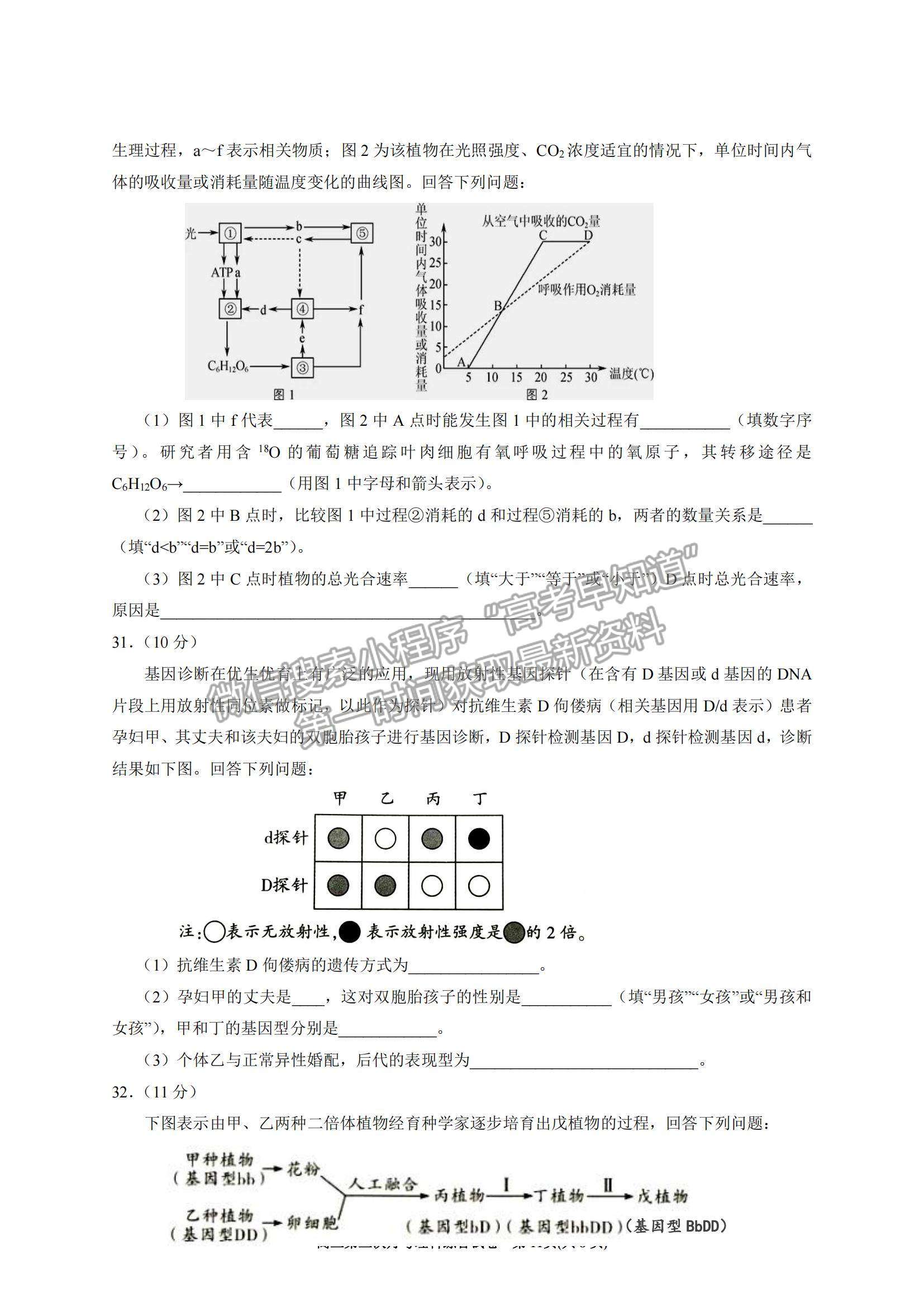 2022寧夏銀川一中高三上學(xué)期第三次月考理綜試題及參考答案