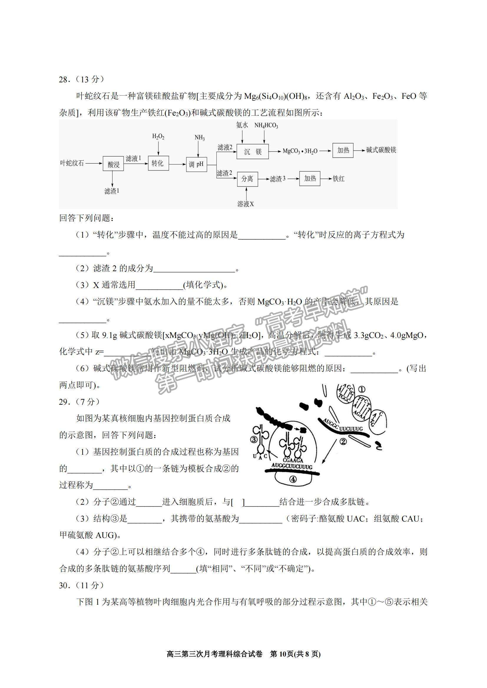 2022寧夏銀川一中高三上學(xué)期第三次月考理綜試題及參考答案