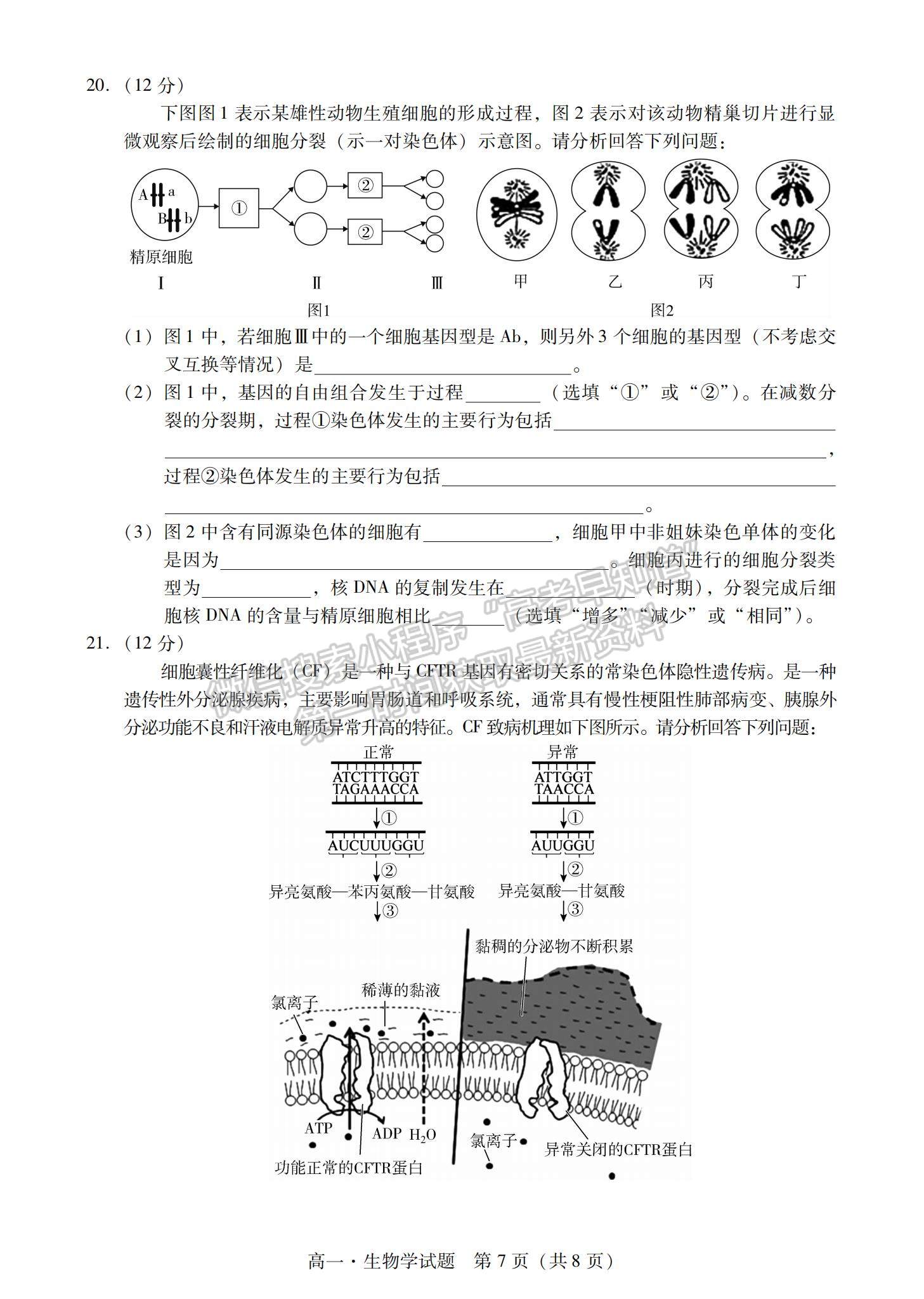 2021廣東省汕尾市高一下學期期末調(diào)研考試生物試題及參考答案