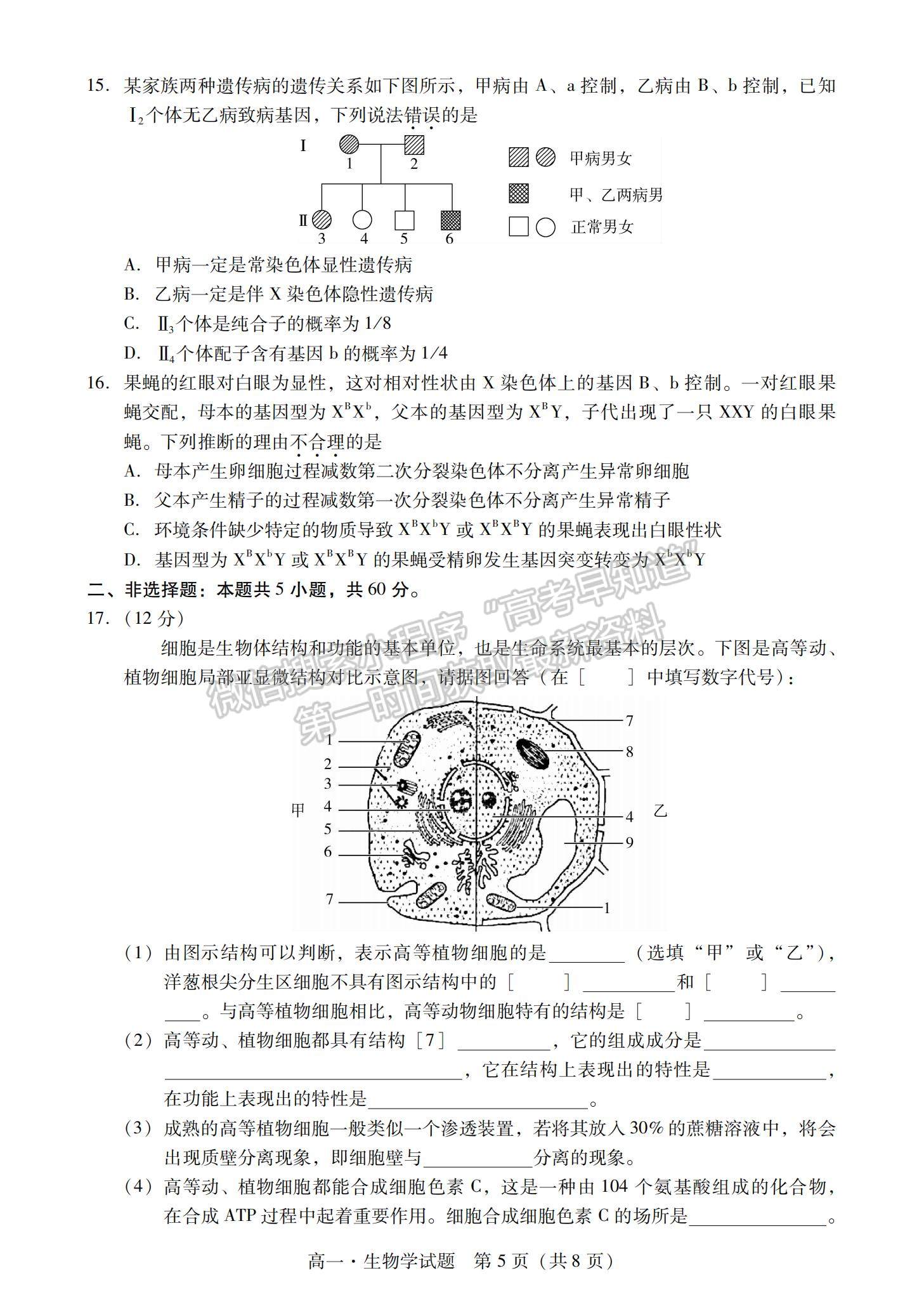 2021廣東省汕尾市高一下學期期末調(diào)研考試生物試題及參考答案