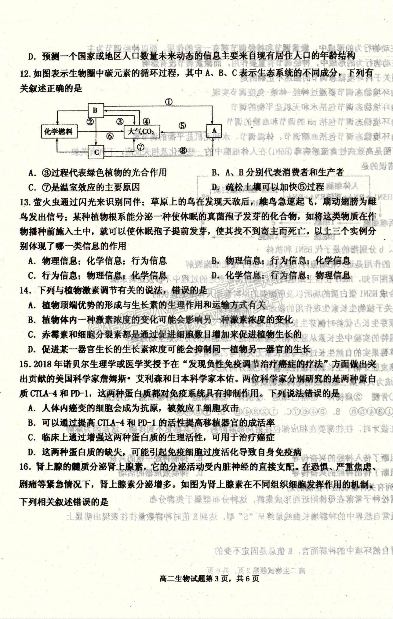 2021河北省遷安市高二上學(xué)期期末考試生物試題及參考答案