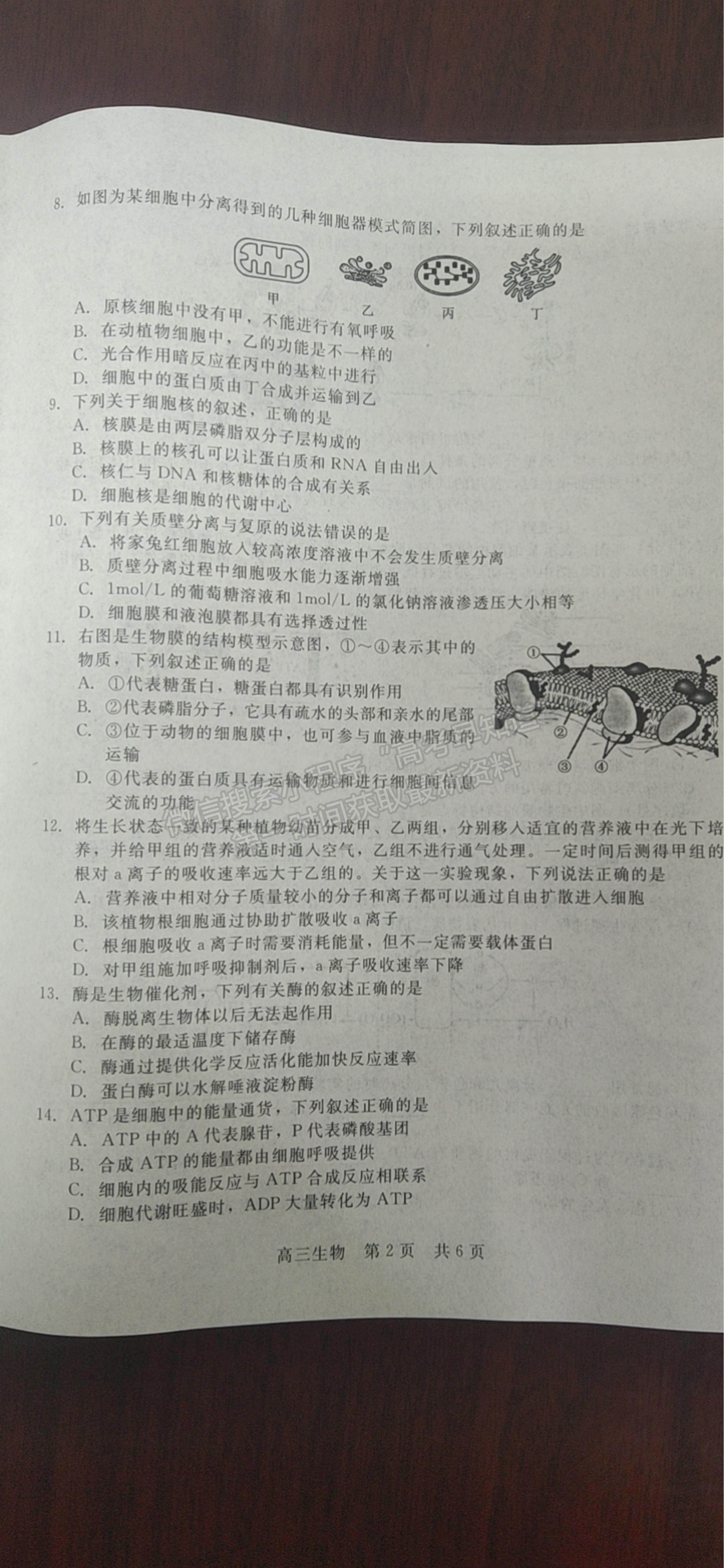 2022陜西省十校聯(lián)考高三上學(xué)期階段測(cè)試生物試題及參考答案