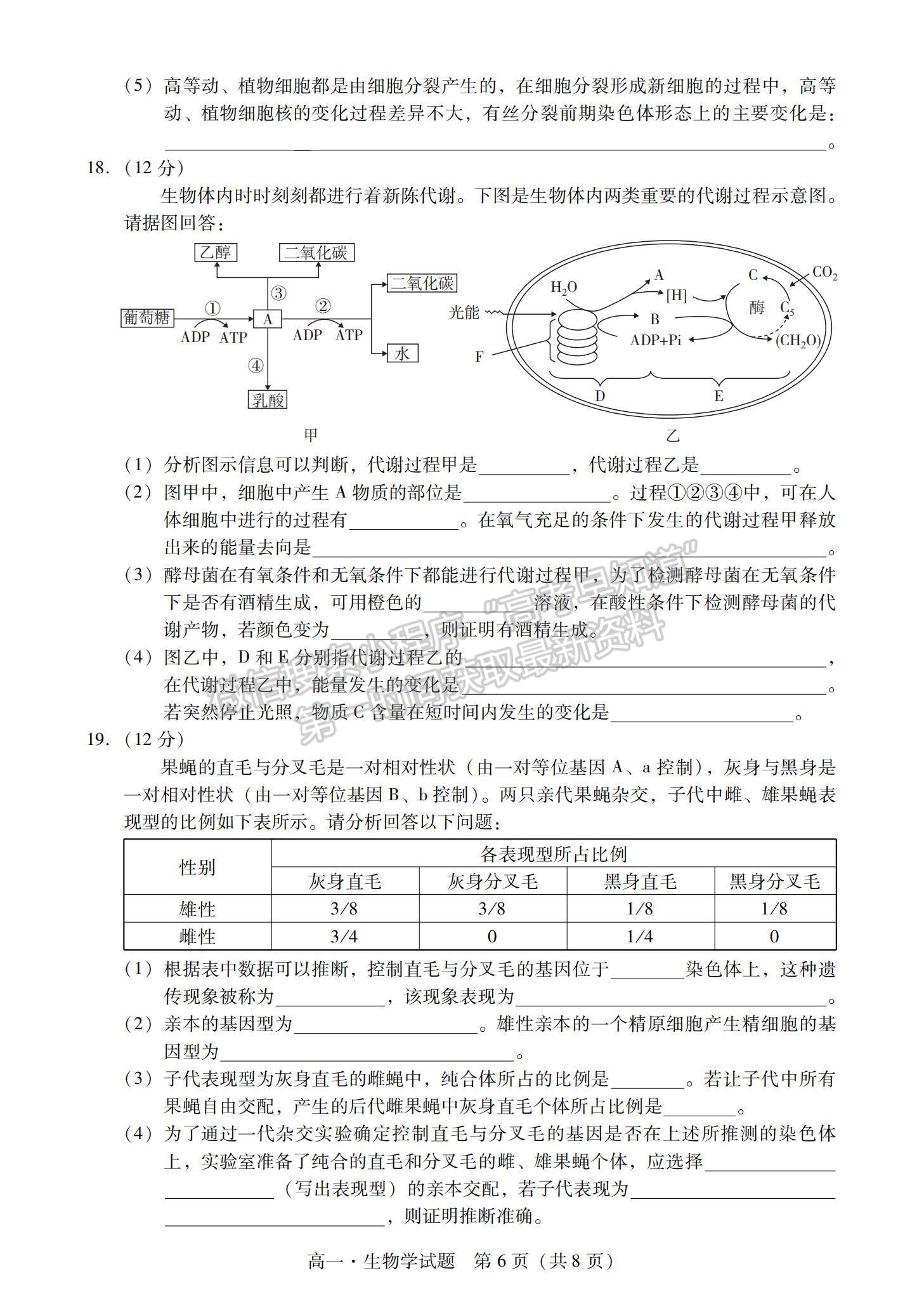 2021廣東省汕尾市高一下學期期末調(diào)研考試生物試題及參考答案