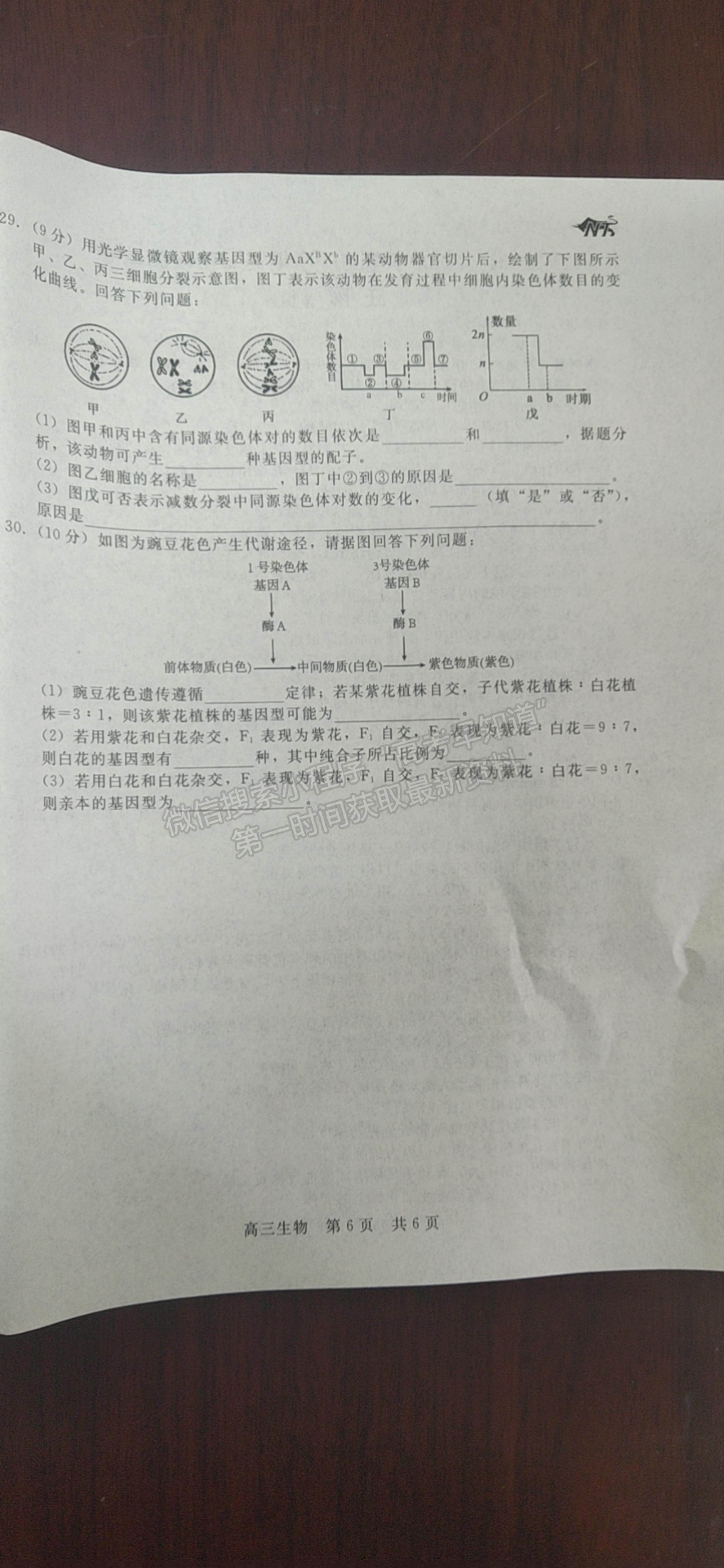 2022陜西省十校聯(lián)考高三上學(xué)期階段測試生物試題及參考答案