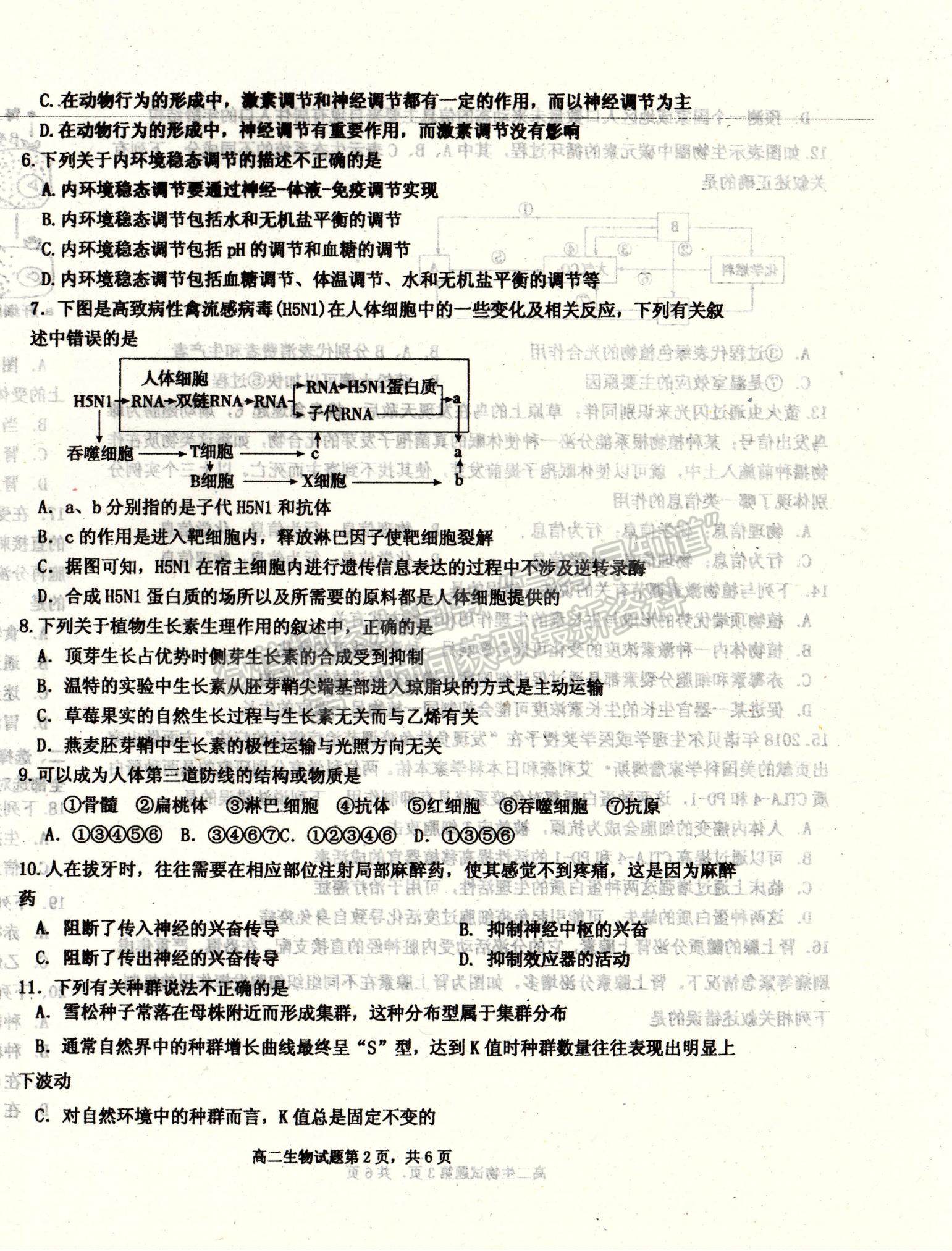 2021河北省遷安市高二上學(xué)期期末考試生物試題及參考答案