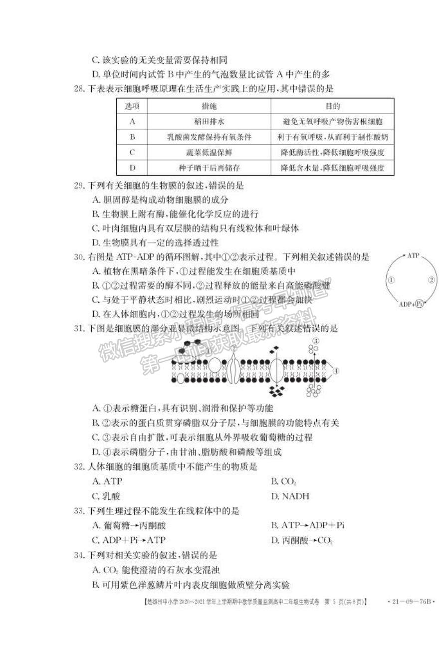 2021云南省楚雄州中小學(xué)高二上學(xué)期期中教學(xué)質(zhì)量監(jiān)測生物試題及參考答案