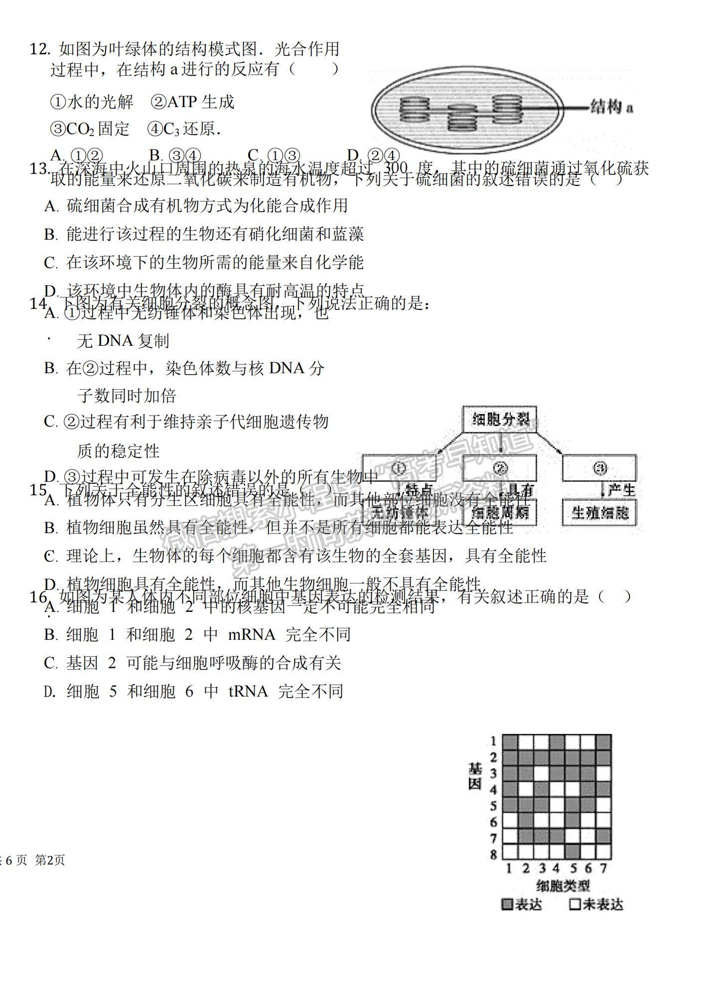 2021內(nèi)蒙古包頭鋼鐵公司第四中學(xué)高三上學(xué)期期中考試生物試題及參考答案