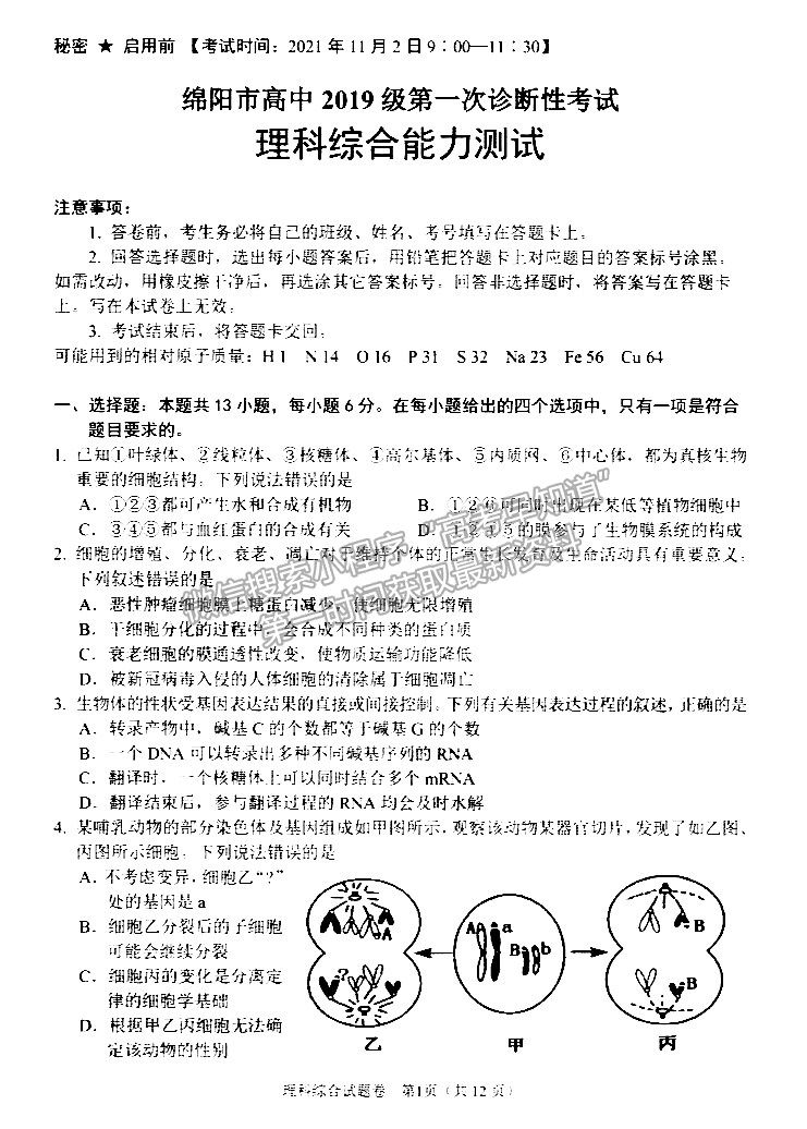 2022綿陽市高中2019級第一次診斷性考試?yán)砜凭C合試題及答案