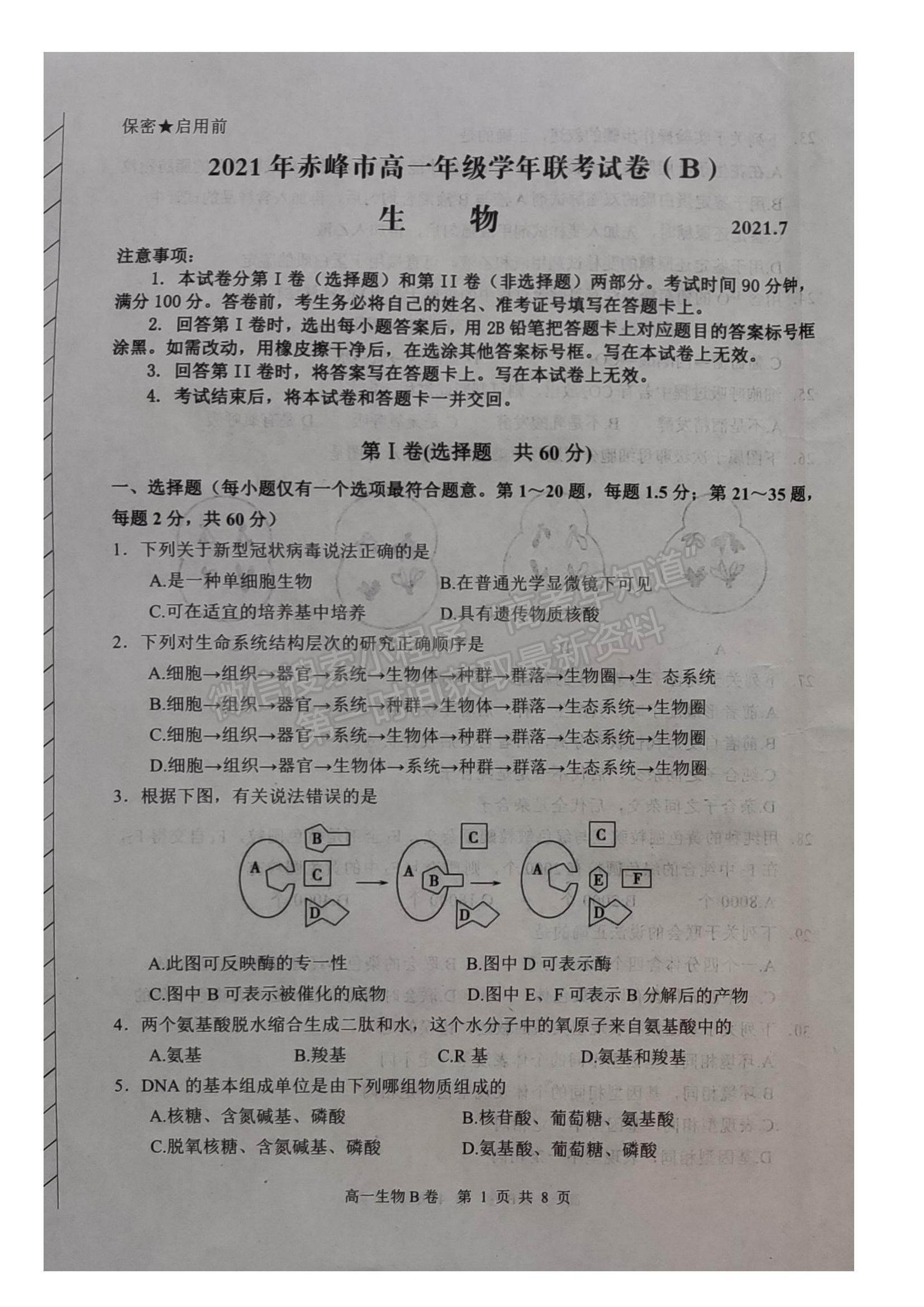 2021內(nèi)蒙古赤峰市高一下學(xué)期期末生物試題及參考答案