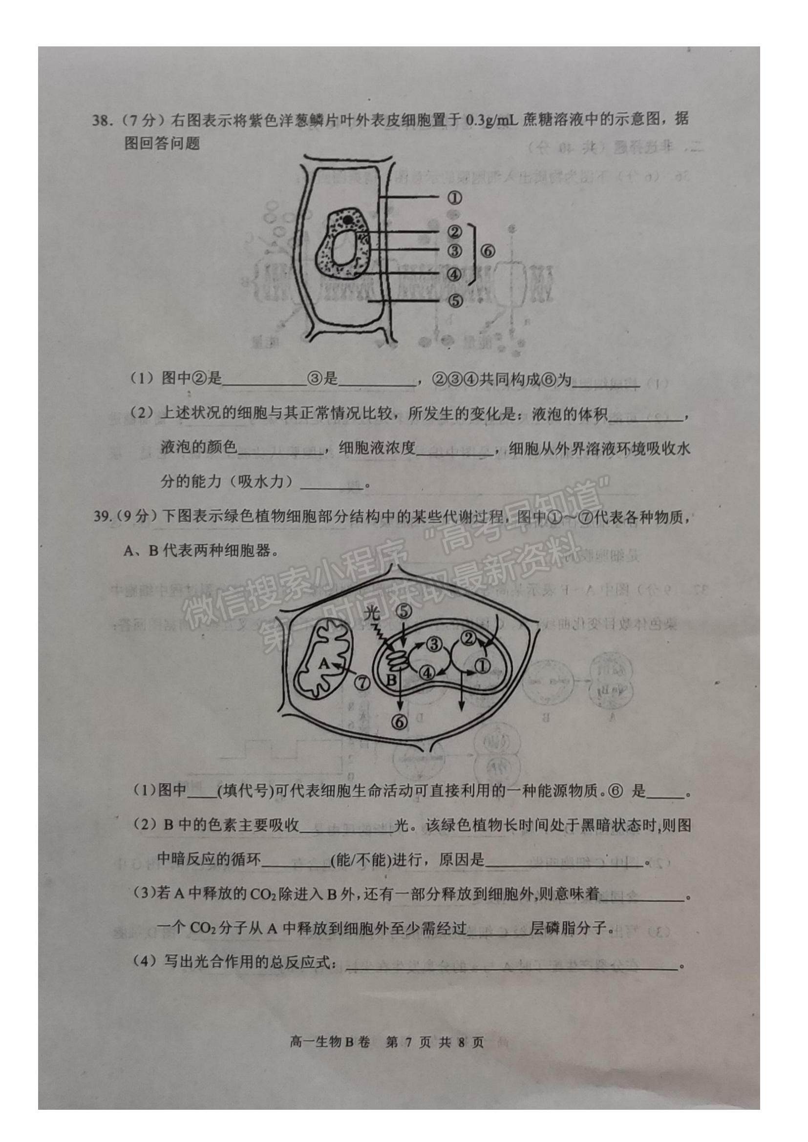 2021內蒙古赤峰市高一下學期期末生物試題及參考答案