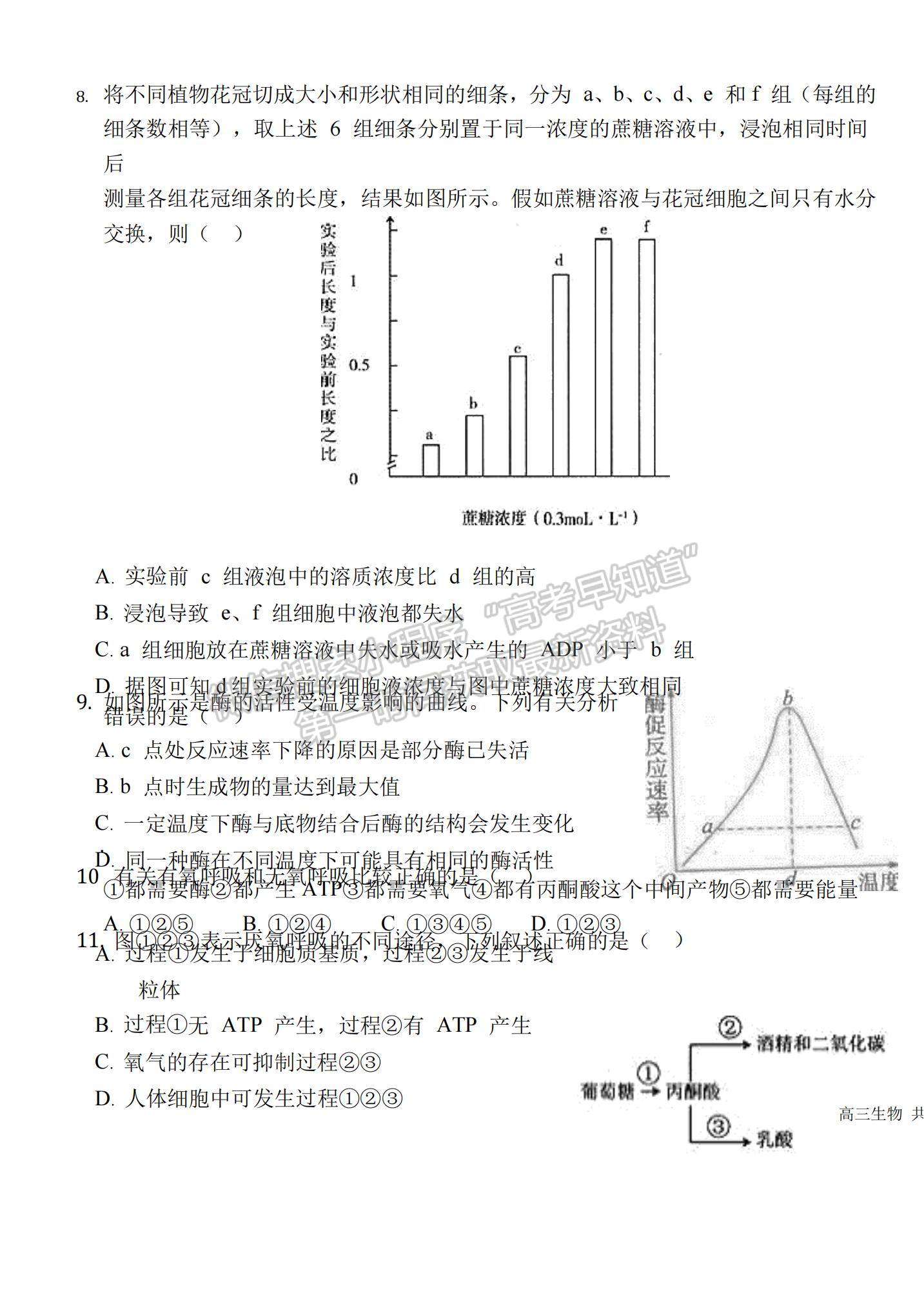 2021內(nèi)蒙古包頭鋼鐵公司第四中學(xué)高三上學(xué)期期中考試生物試題及參考答案