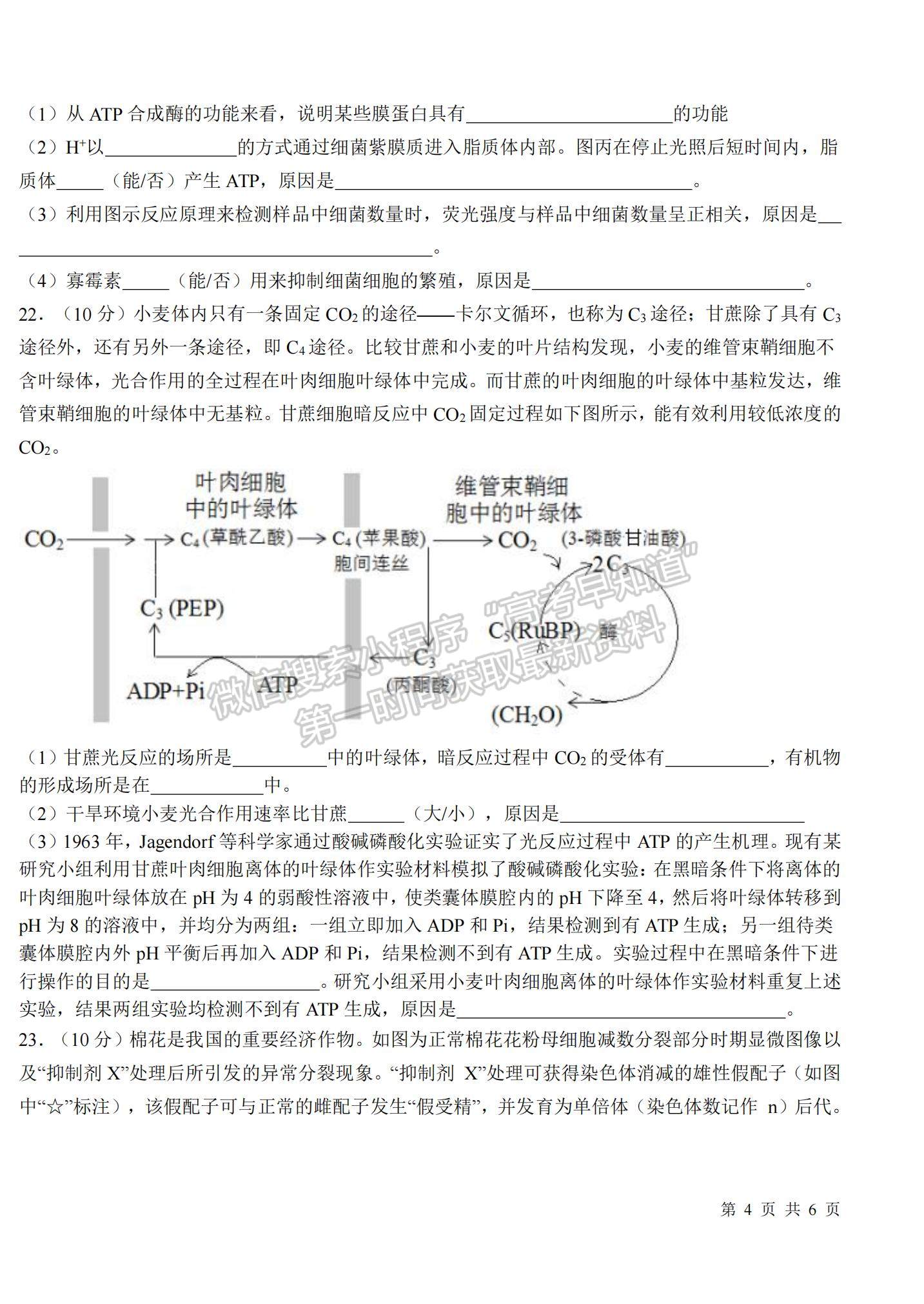 2022山東省高三聯(lián)合質(zhì)量測(cè)評(píng)（10月）生物試題及參考答案