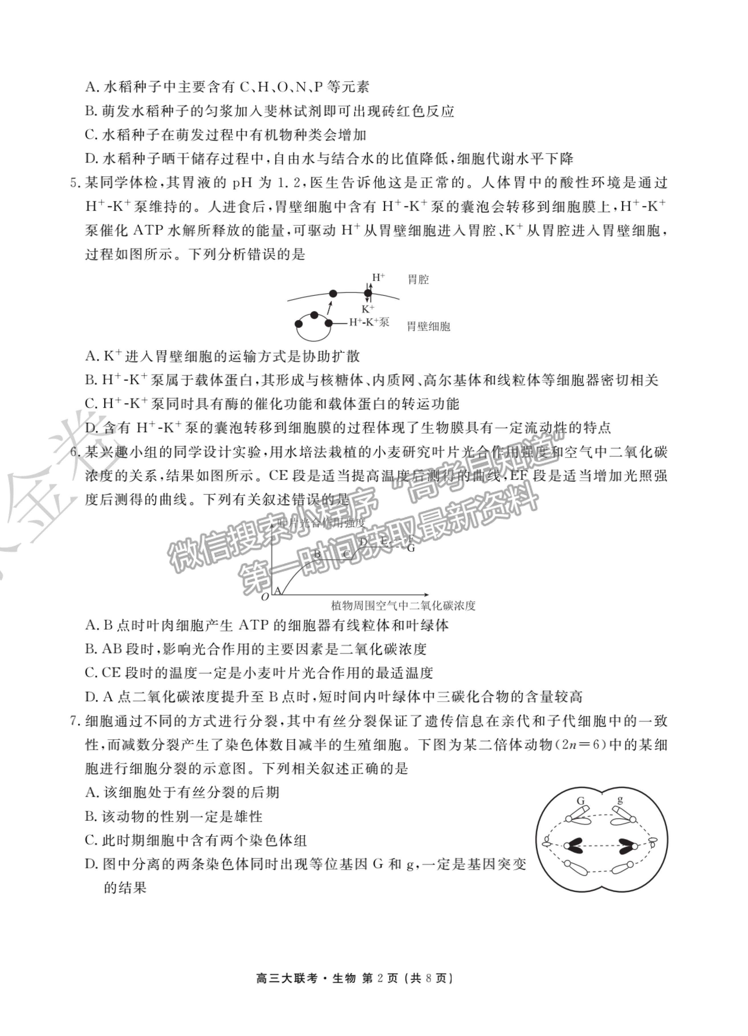 2022廣東省高三聯(lián)合質(zhì)量測(cè)評(píng)省級(jí)聯(lián)考（10月）生物試題及參考答案