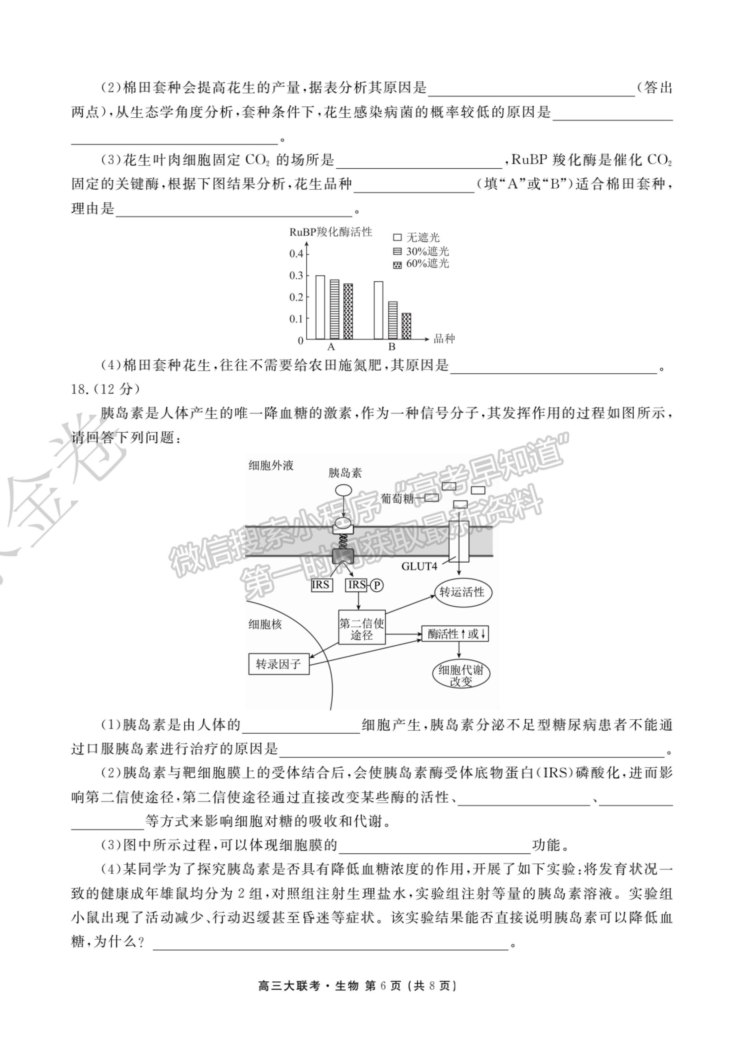 2022廣東省高三聯合質量測評省級聯考（10月）生物試題及參考答案