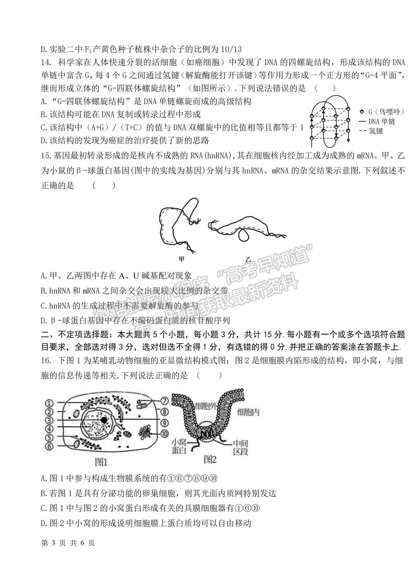 2022山東省高三聯(lián)合質量測評（10月）生物試題及參考答案