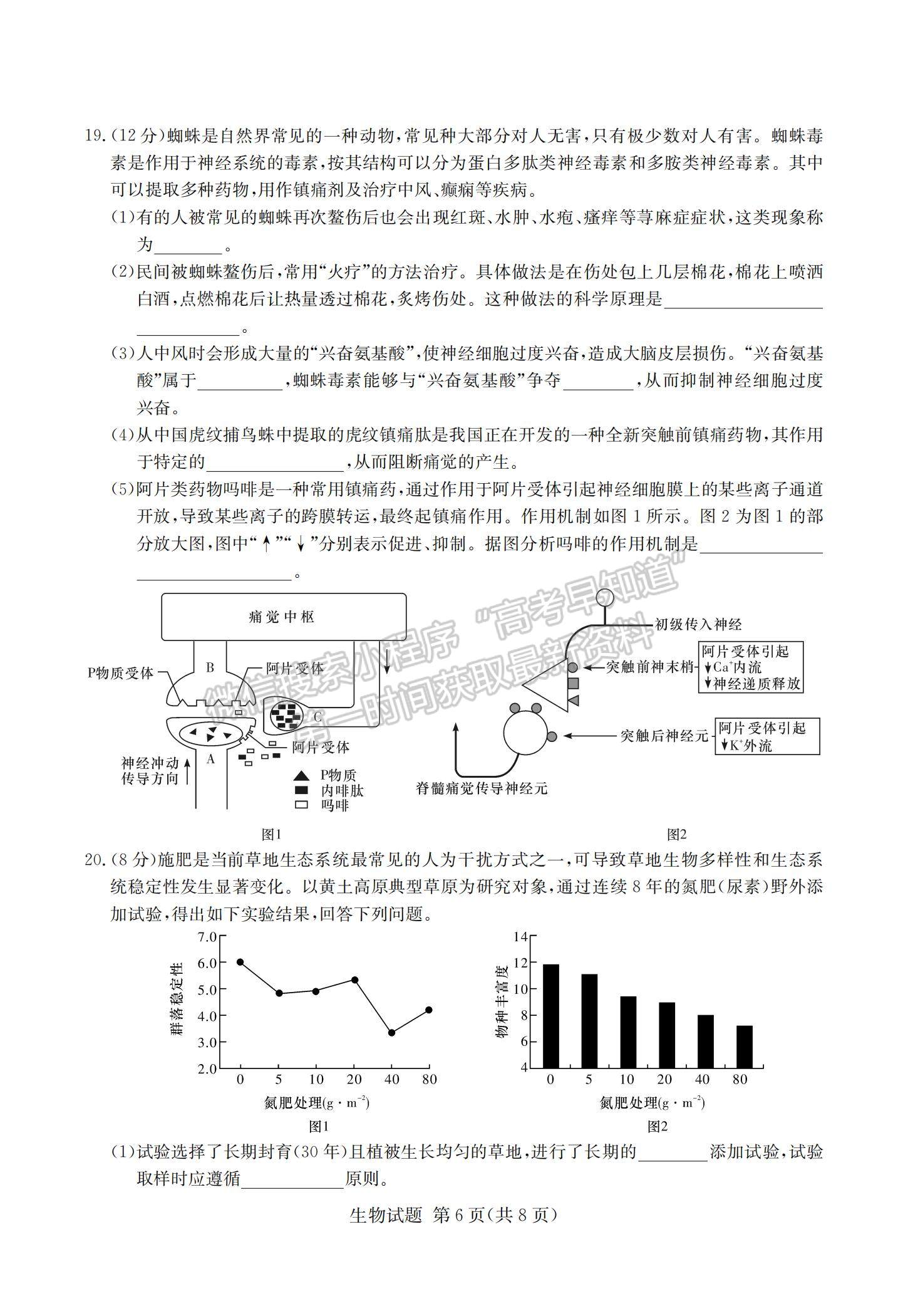 2021湖南省四大名校名師團隊高三下學期5月高考猜題卷（A）生物試題及參考答案