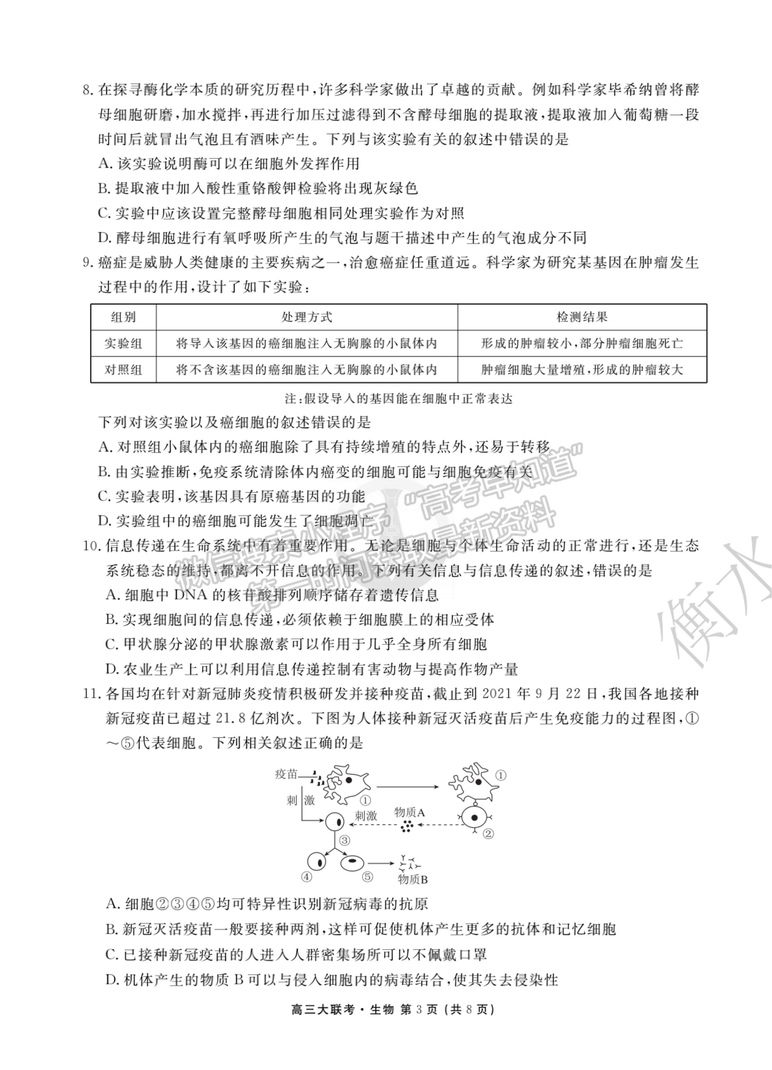 2022廣東省高三聯(lián)合質(zhì)量測評省級聯(lián)考（10月）生物試題及參考答案