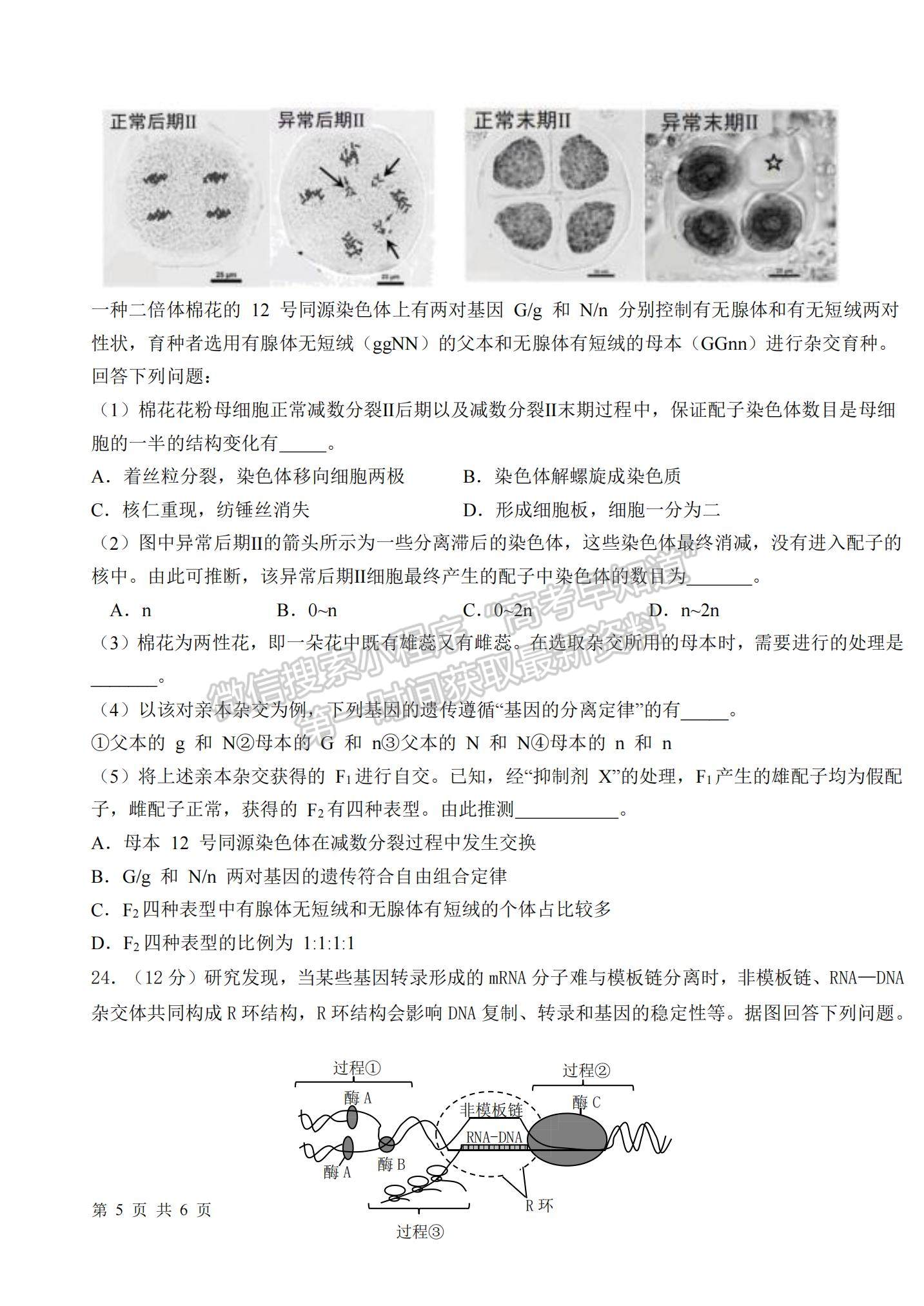 2022山東省高三聯(lián)合質(zhì)量測評（10月）生物試題及參考答案