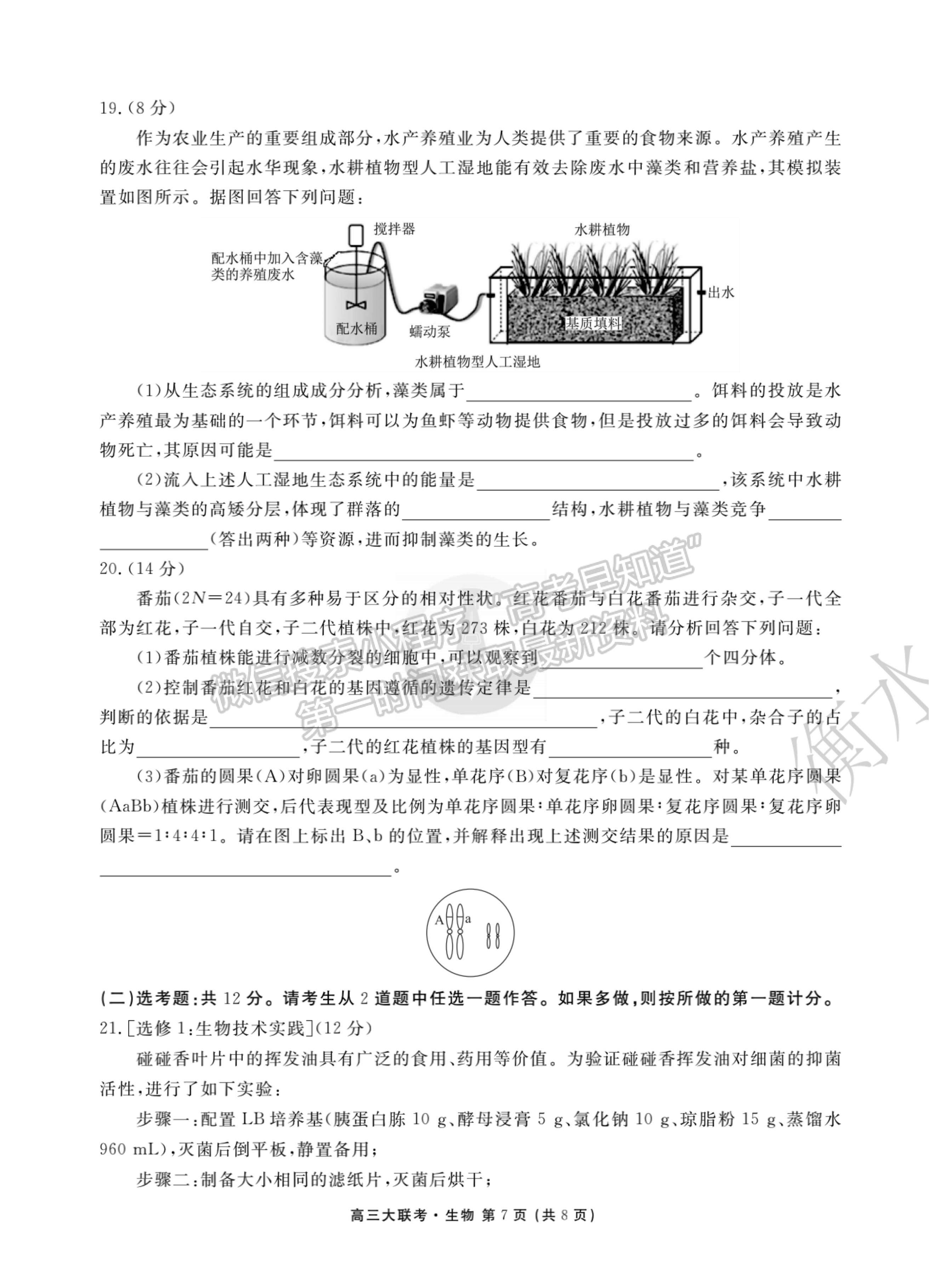 2022廣東省高三聯合質量測評省級聯考（10月）生物試題及參考答案