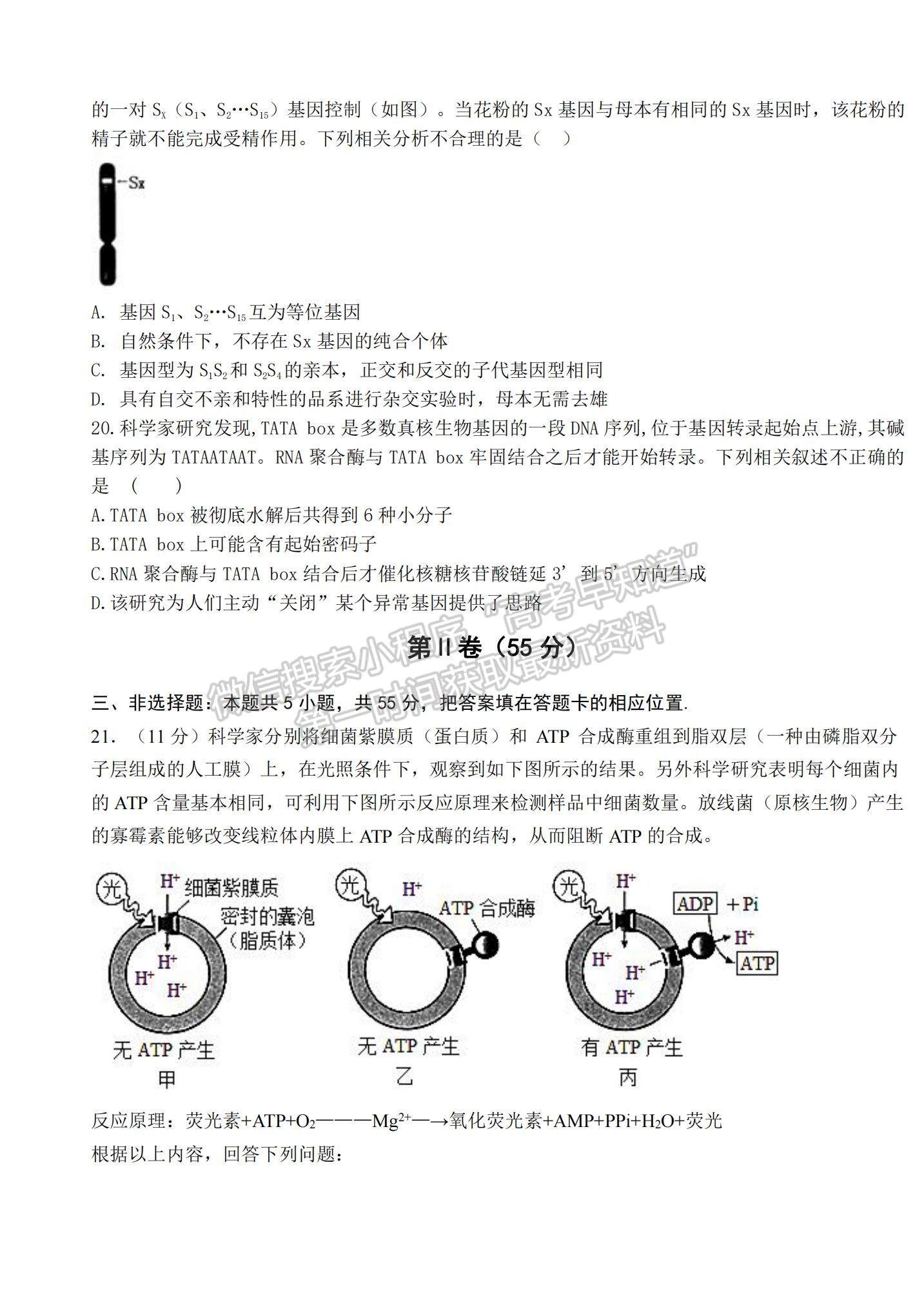 2022山東省高三聯(lián)合質(zhì)量測(cè)評(píng)（10月）生物試題及參考答案