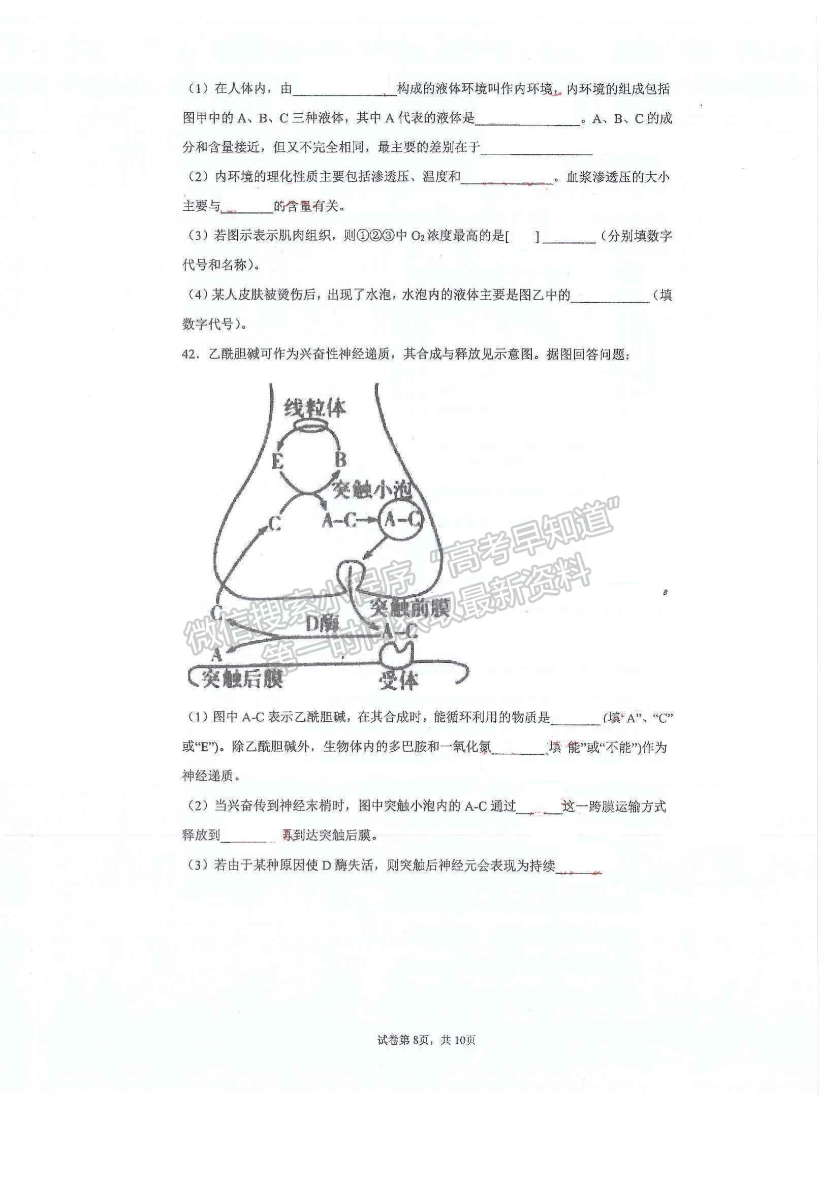 2022云南省昆明市官渡區(qū)云子中學(xué)長(zhǎng)豐學(xué)校高二上學(xué)期期中學(xué)業(yè)監(jiān)測(cè)生物試題及參考答案