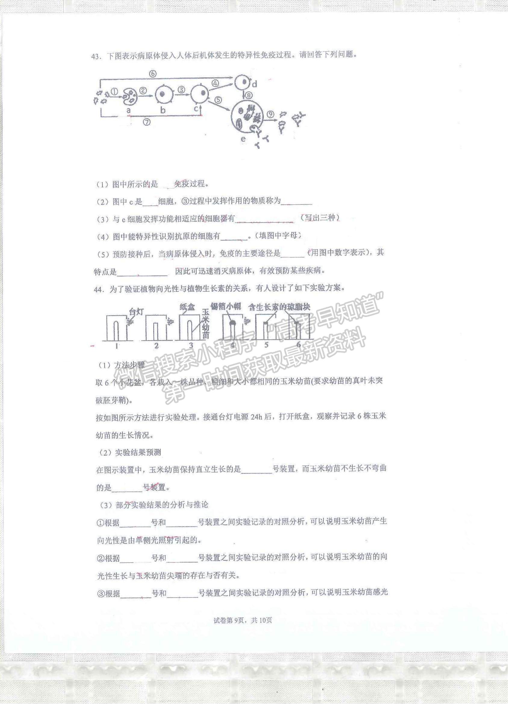 2022云南省昆明市官渡區(qū)云子中學(xué)長豐學(xué)校高二上學(xué)期期中學(xué)業(yè)監(jiān)測生物試題及參考答案