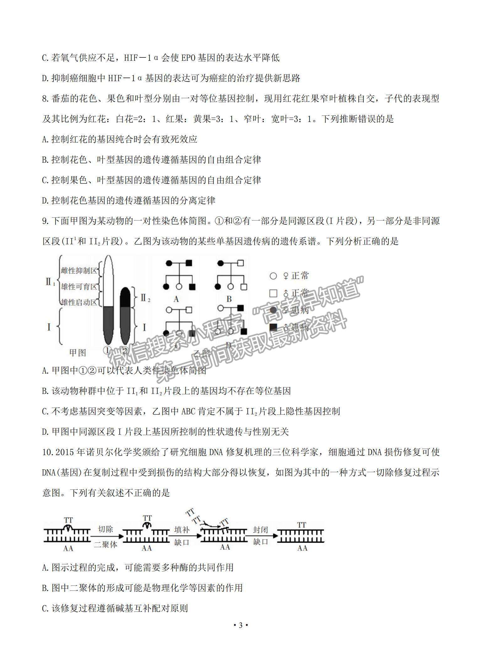 2021湖南省郴州市高三上學期第一次質(zhì)檢生物試題及參考答案