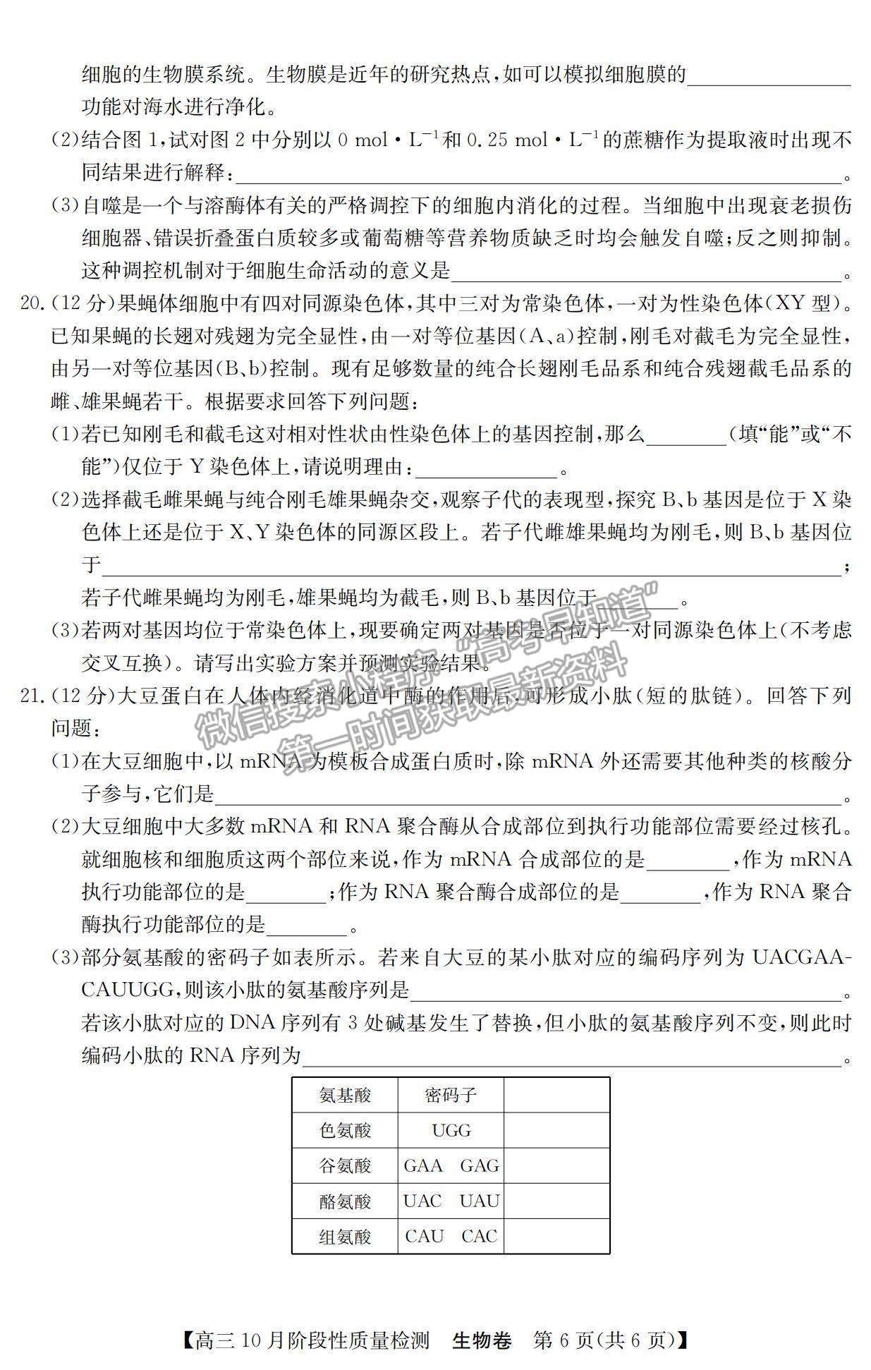 2022廣東普通高中高三10月階段性質(zhì)量檢測(cè)生物試題及參考答案