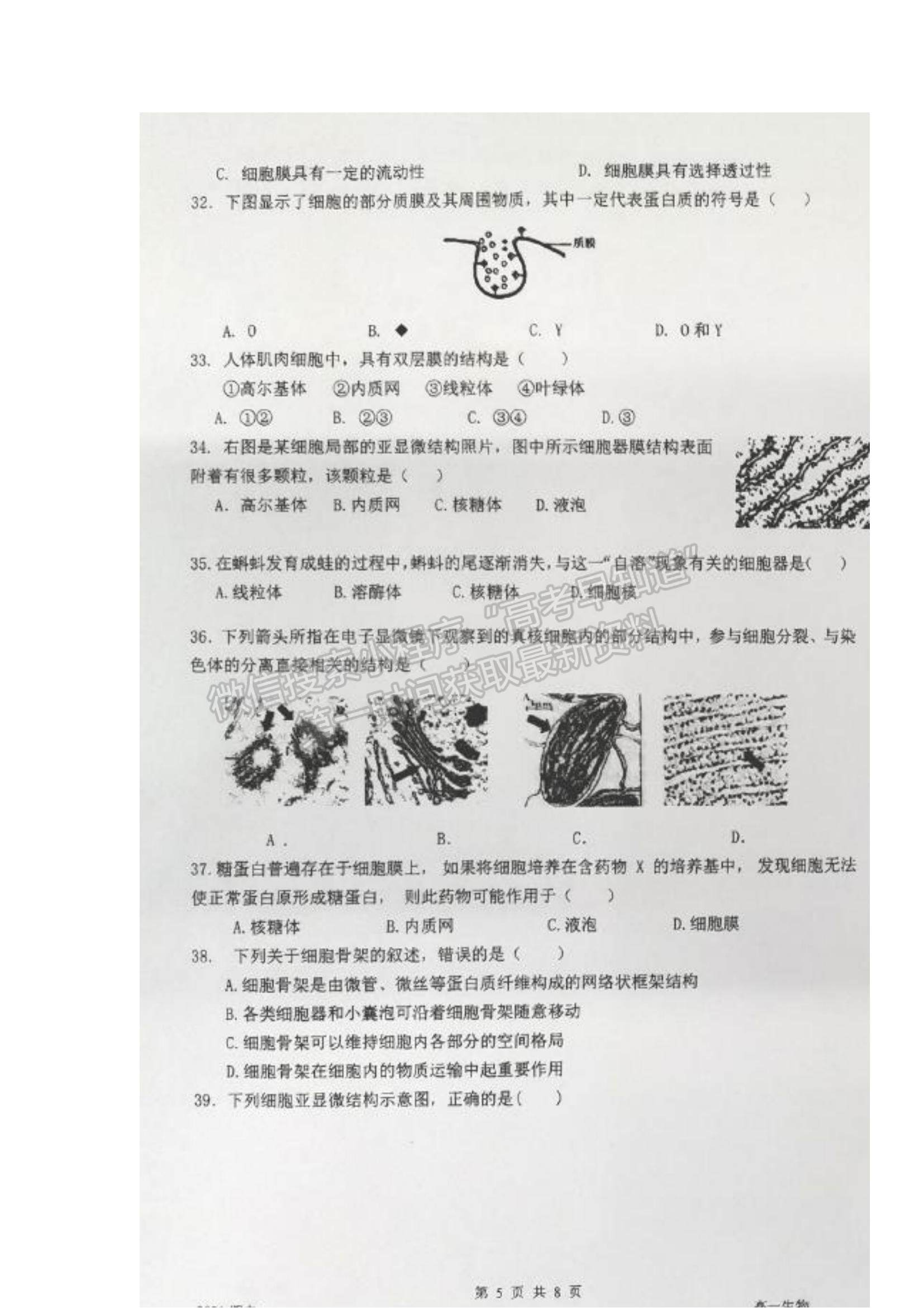 2022上海市嘉定二中高一上学期期中考试生物试题及参考答案