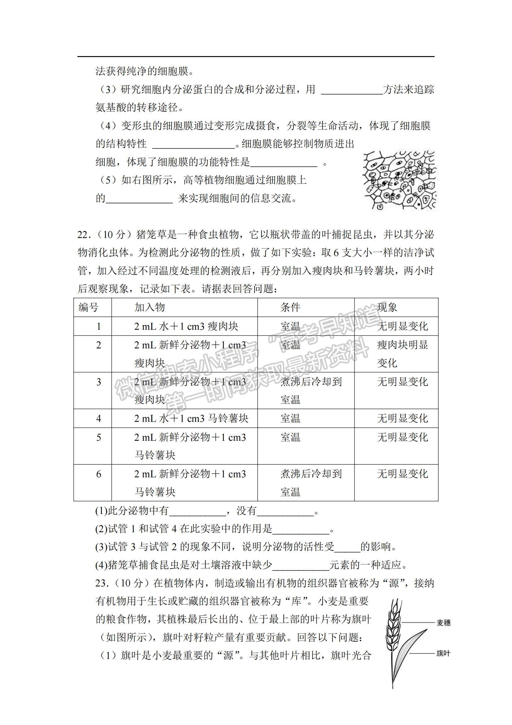 2021遼寧省沈陽(yáng)市第二十八中學(xué)高一上學(xué)期期末考試生物試題及參考答案