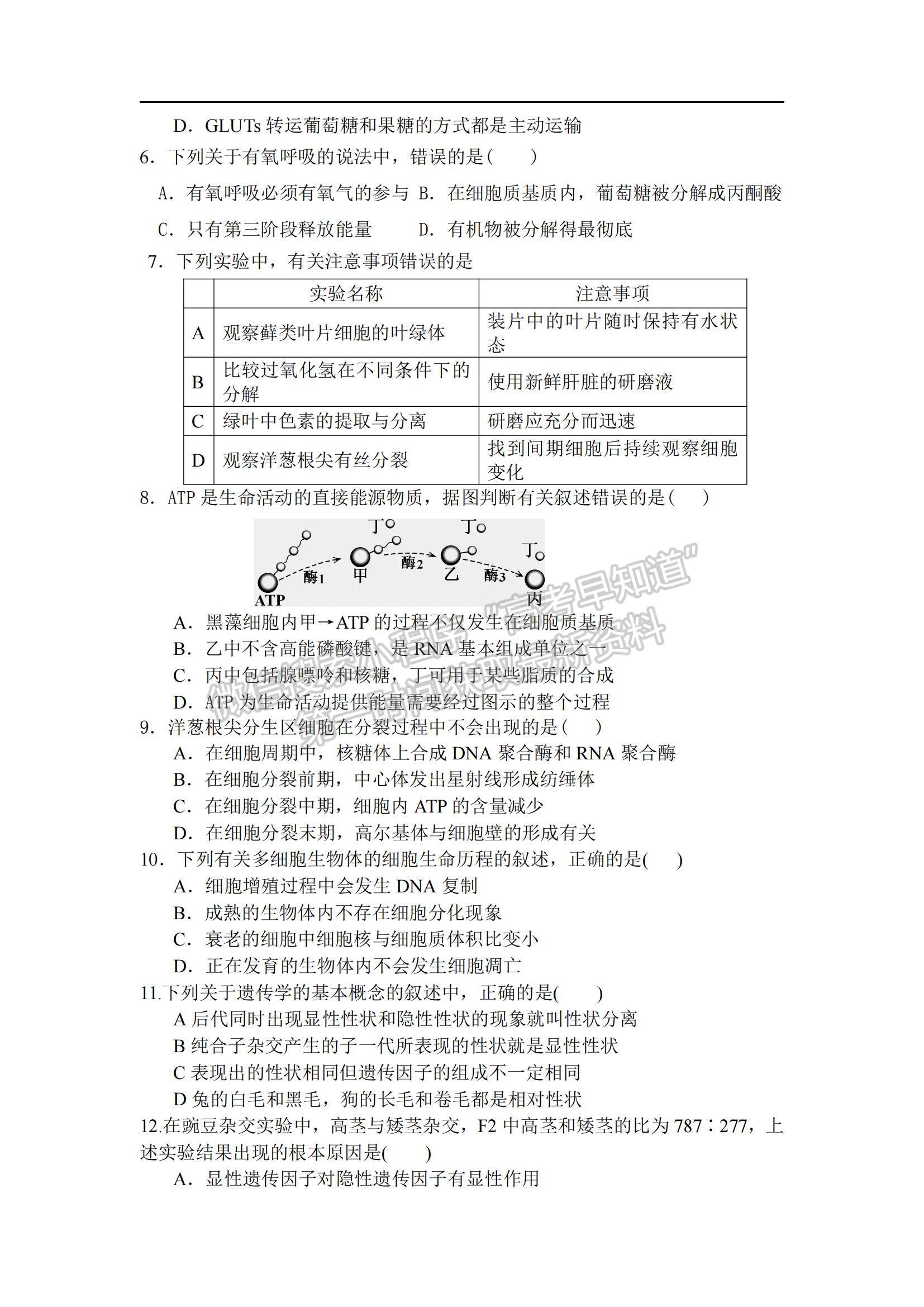 2021遼寧省沈陽市第二十八中學高一上學期期末考試生物試題及參考答案