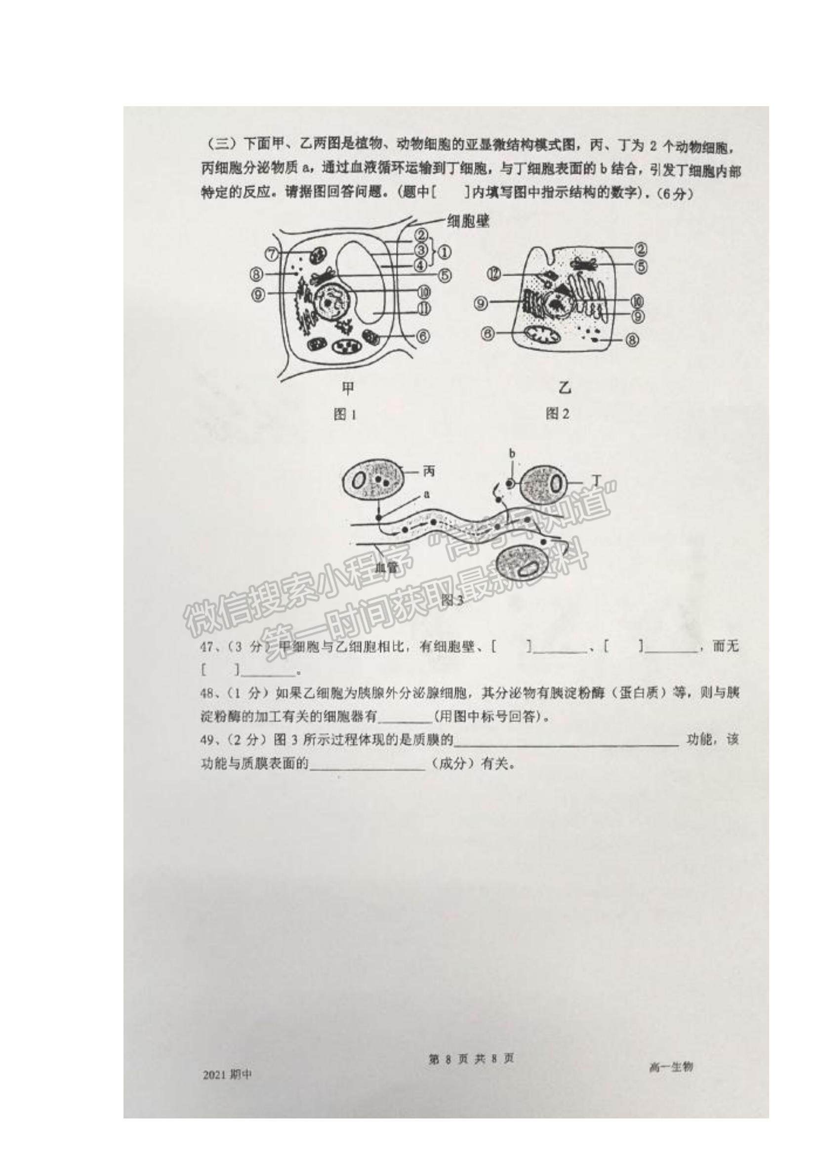 2022上海市嘉定二中高一上學(xué)期期中考試生物試題及參考答案