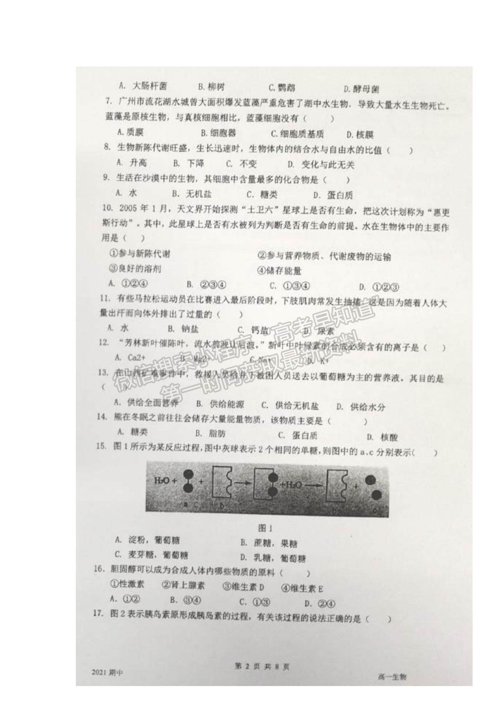 2022上海市嘉定二中高一上学期期中考试生物试题及参考答案