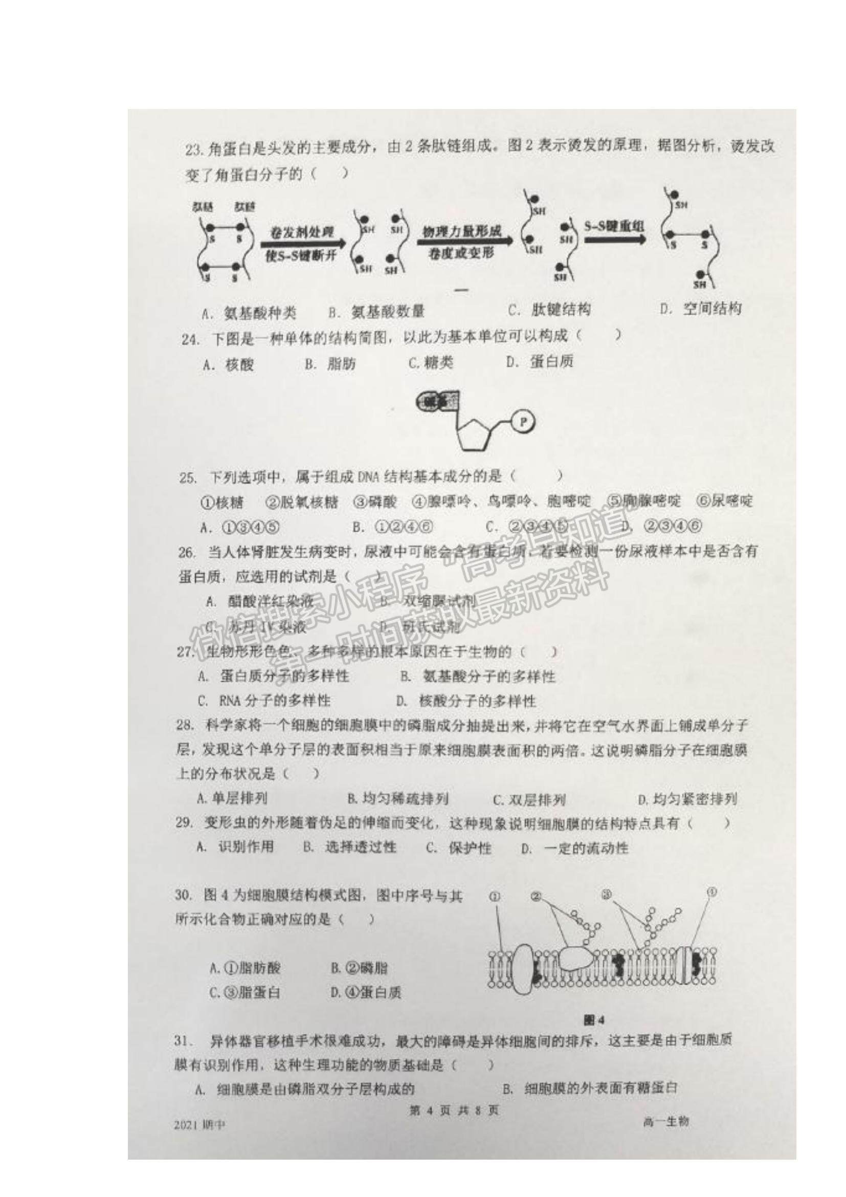 2022上海市嘉定二中高一上學(xué)期期中考試生物試題及參考答案