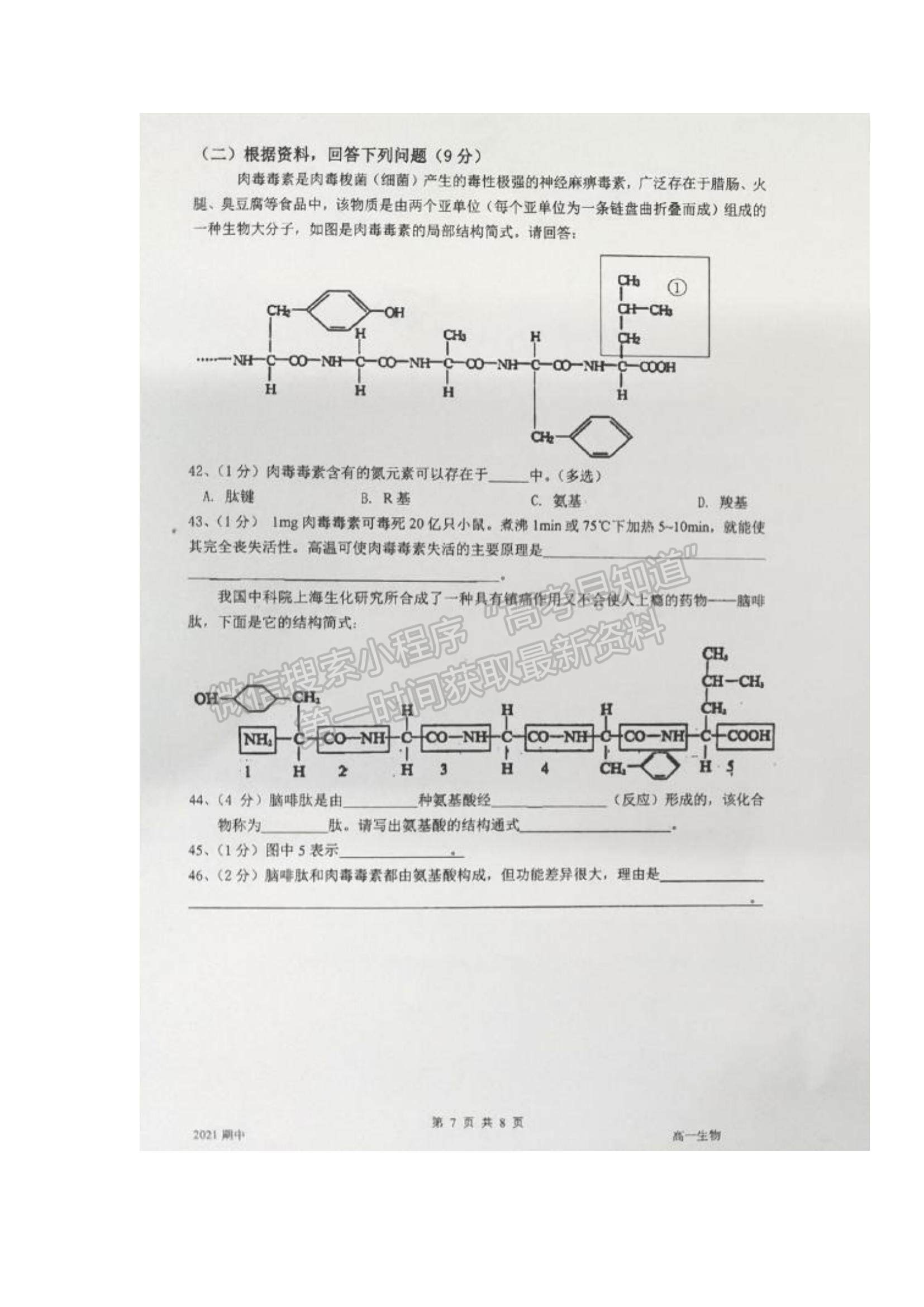 2022上海市嘉定二中高一上學(xué)期期中考試生物試題及參考答案