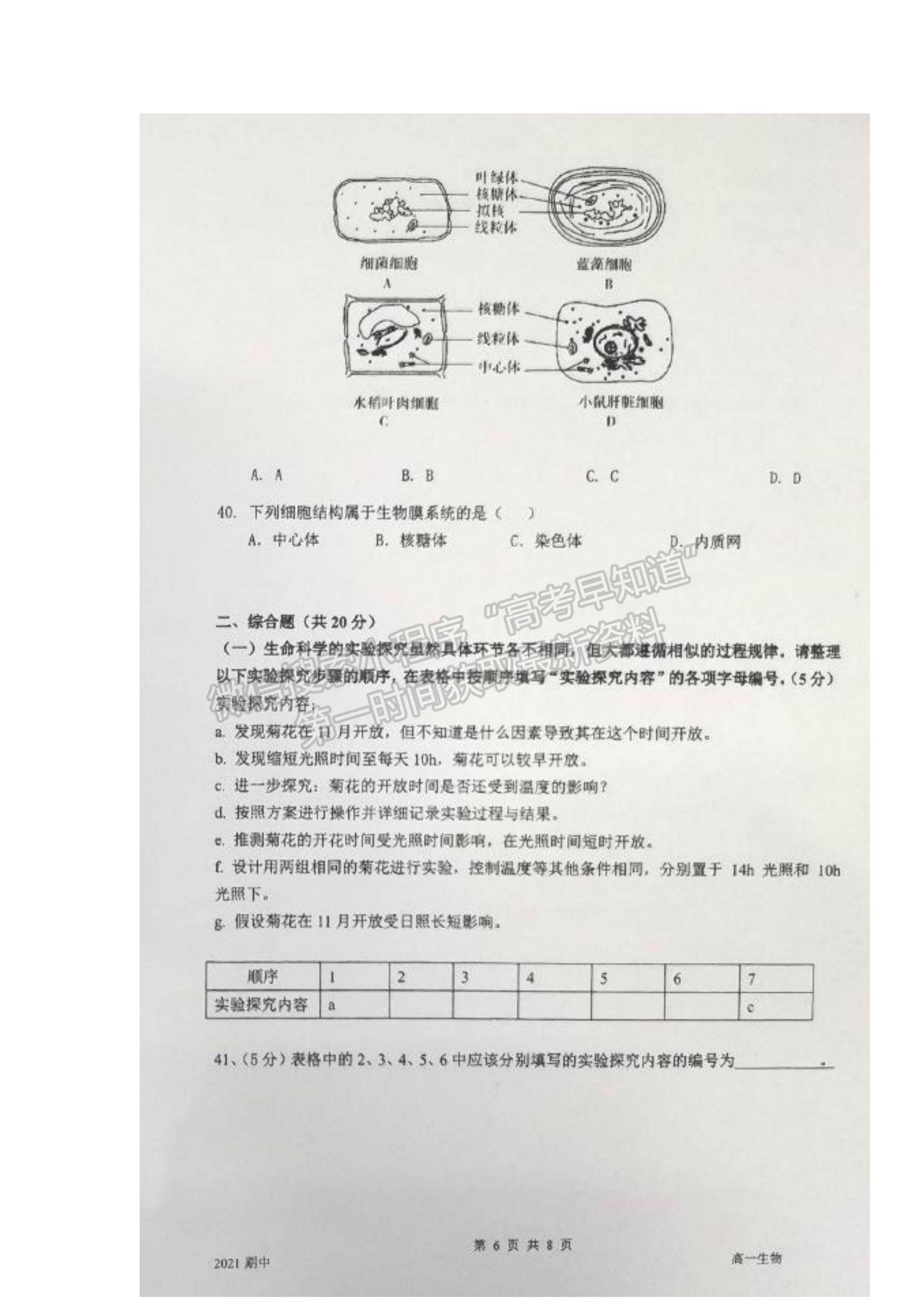 2022上海市嘉定二中高一上学期期中考试生物试题及参考答案