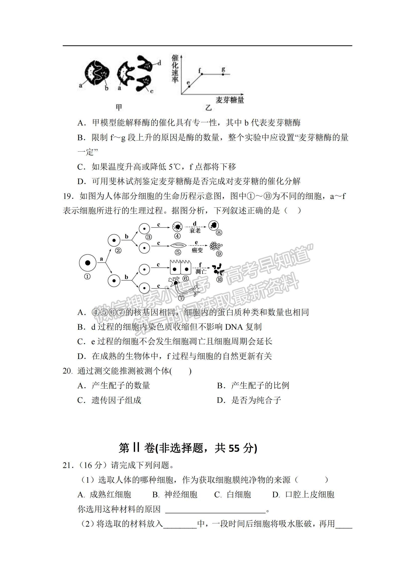 2021遼寧省沈陽市第二十八中學高一上學期期末考試生物試題及參考答案