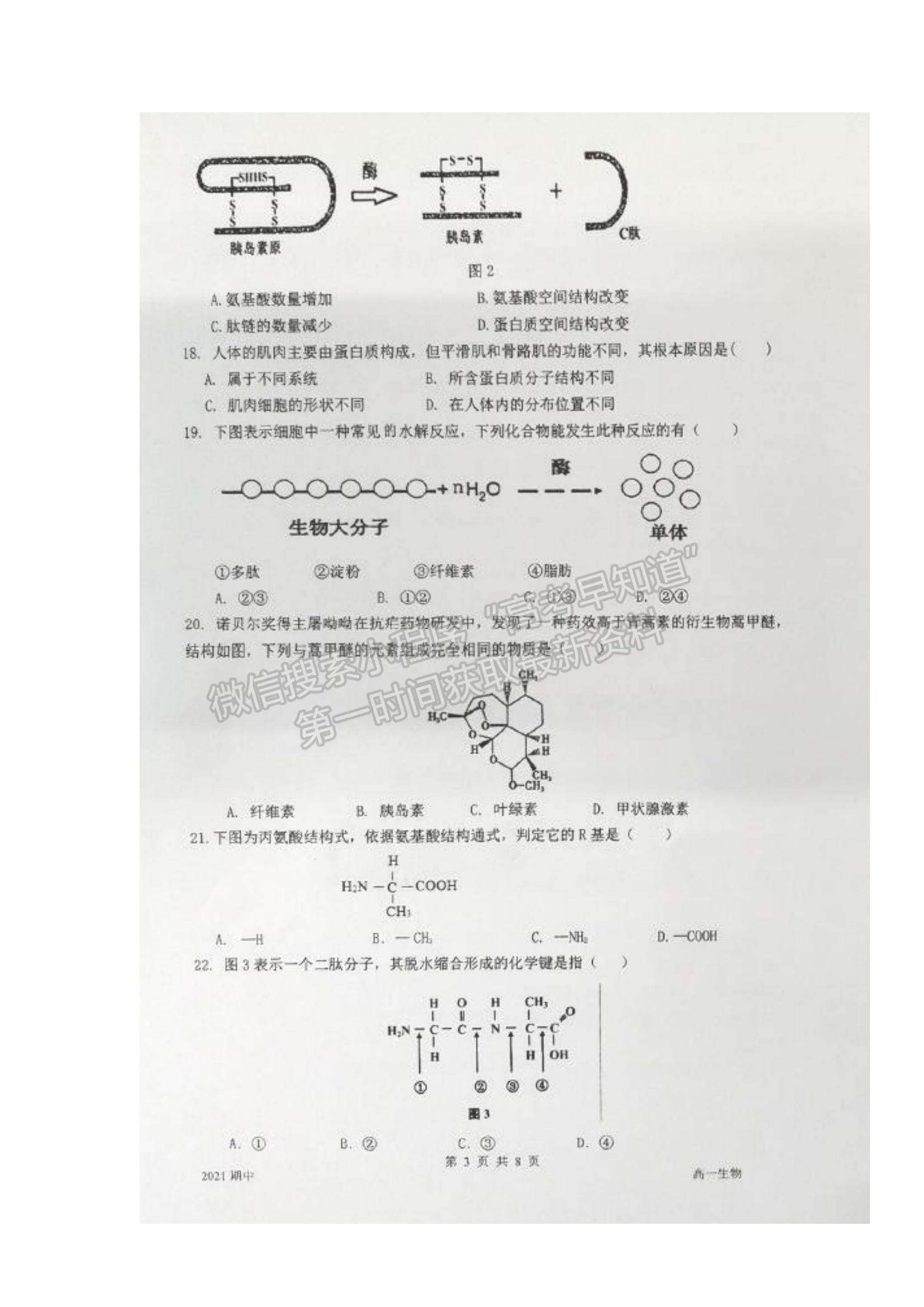 2022上海市嘉定二中高一上学期期中考试生物试题及参考答案