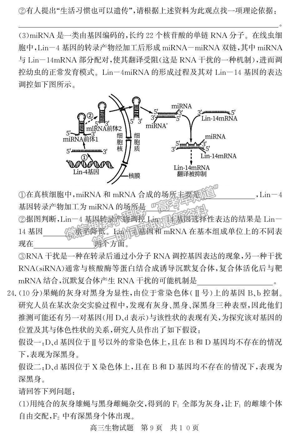 2022山東省濟(jì)寧市兗州區(qū)高三上學(xué)期期中考試生物試題及參考答案