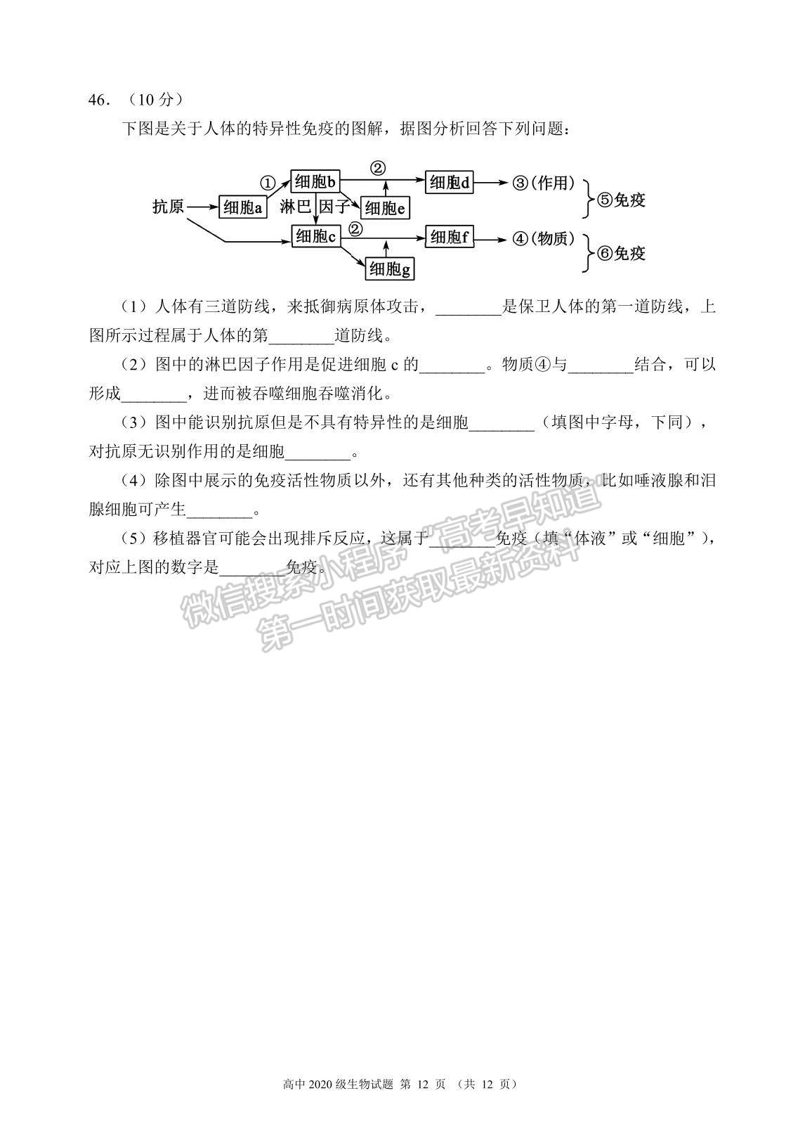 2022四川省蓉城名校聯(lián)盟高二上學(xué)期期中聯(lián)考生物試題及參考答案