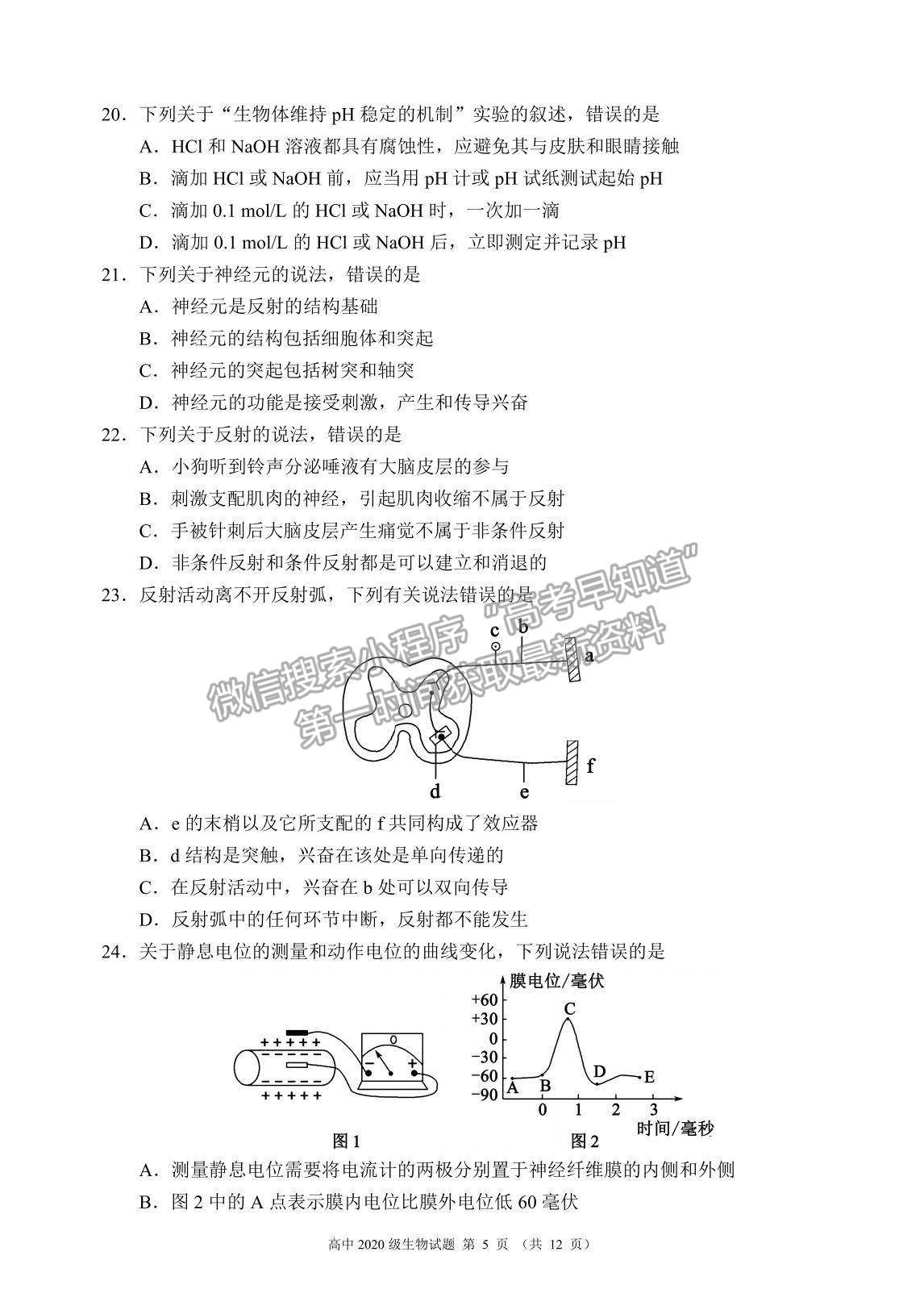 2022四川省蓉城名校聯(lián)盟高二上學(xué)期期中聯(lián)考生物試題及參考答案